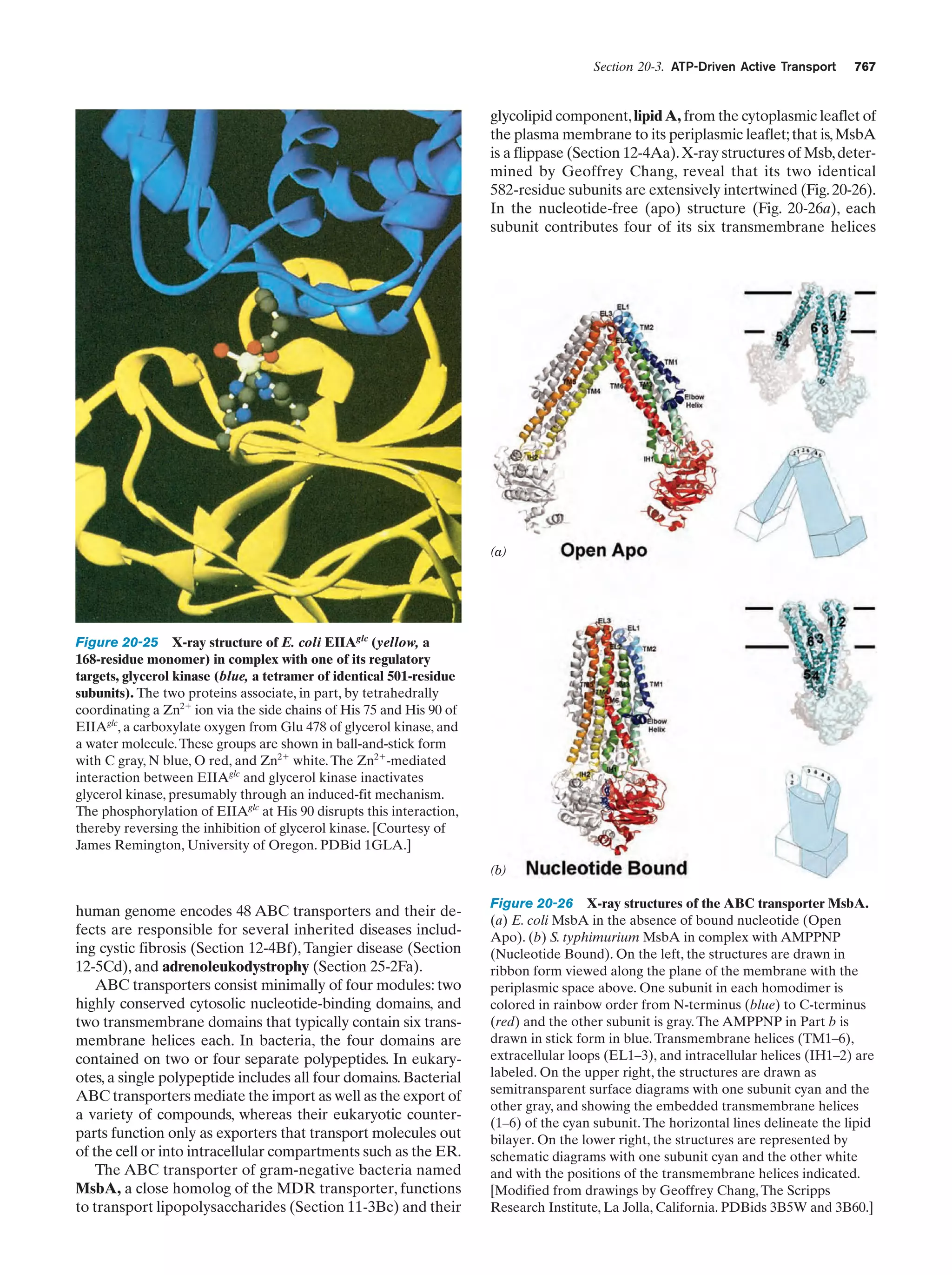 Biochemistry.4th.edition