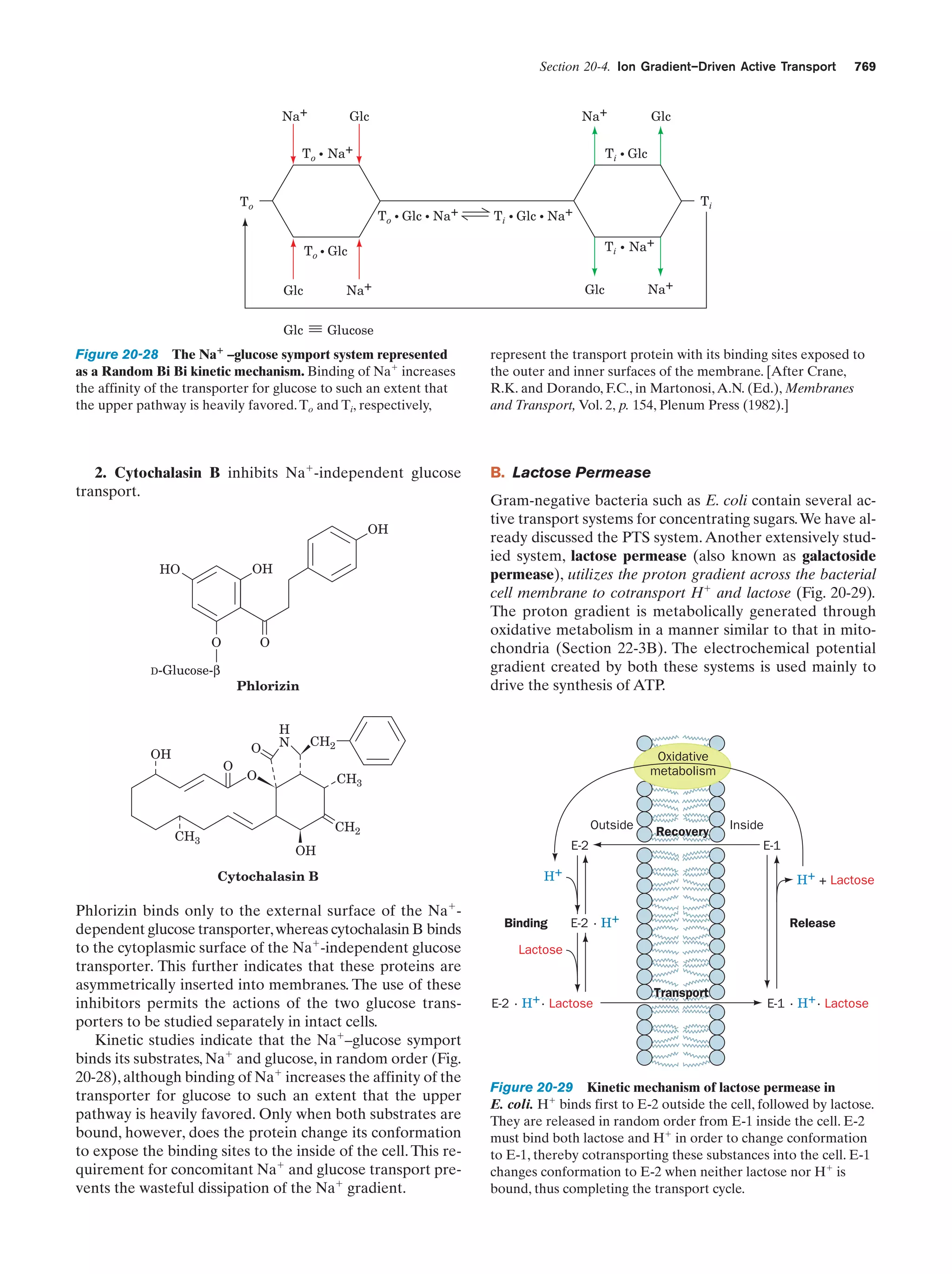 Biochemistry.4th.edition