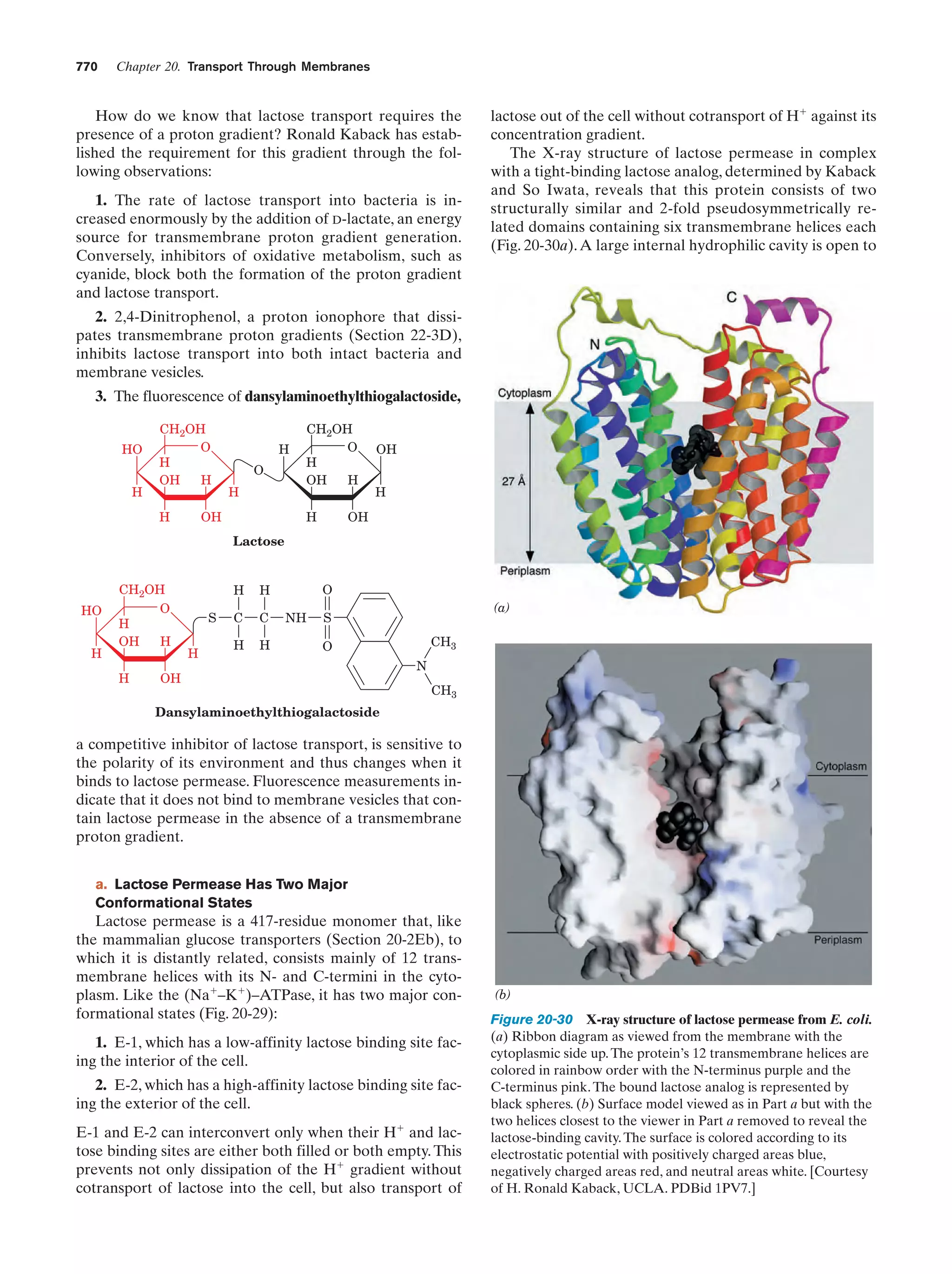 Biochemistry.4th.edition