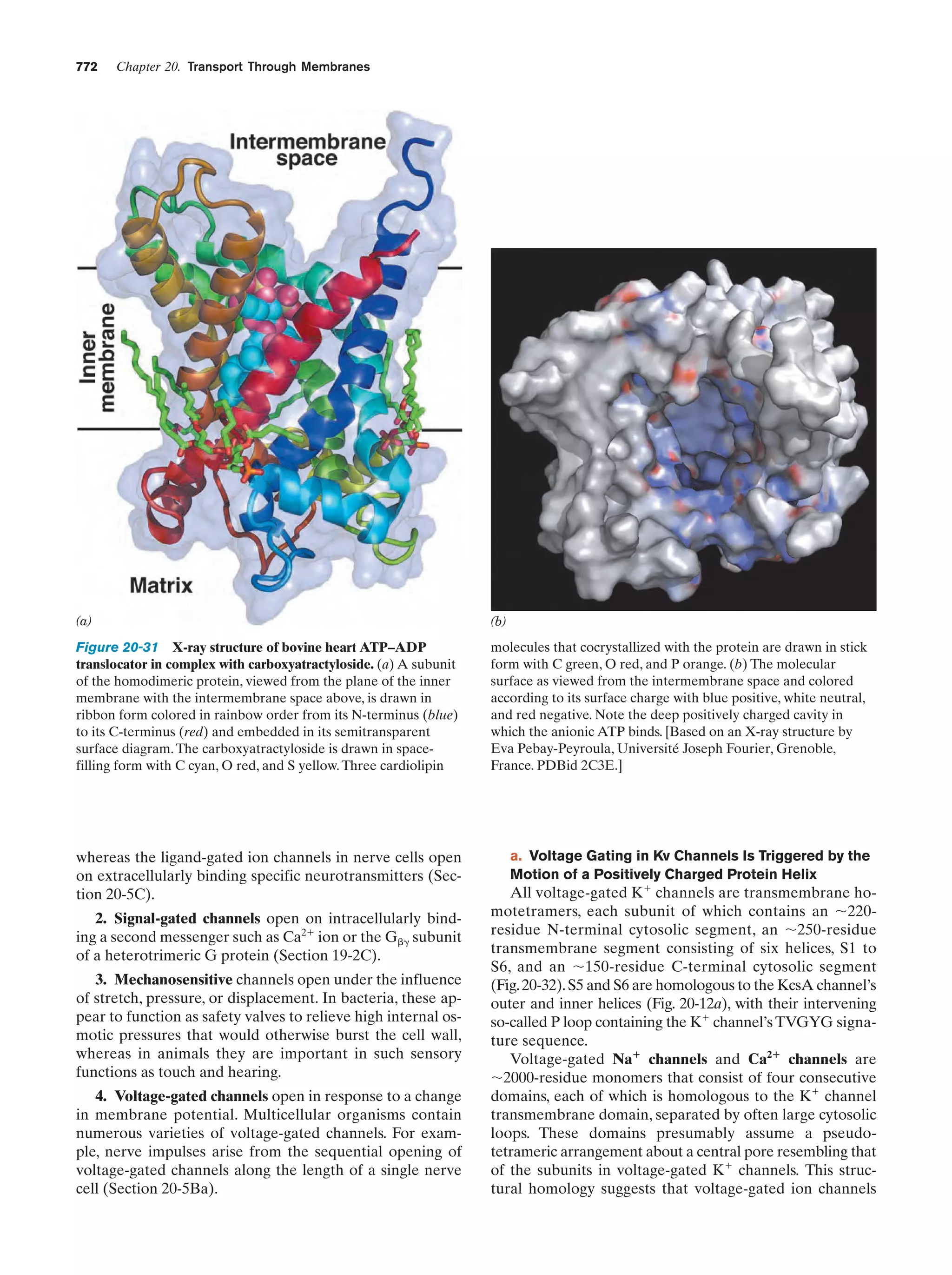 Biochemistry.4th.edition