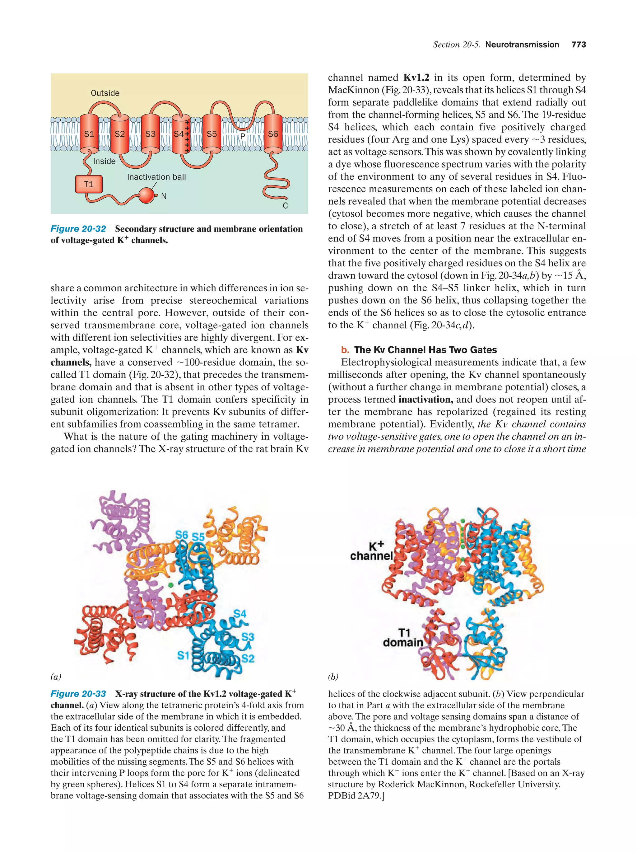 Biochemistry.4th.edition
