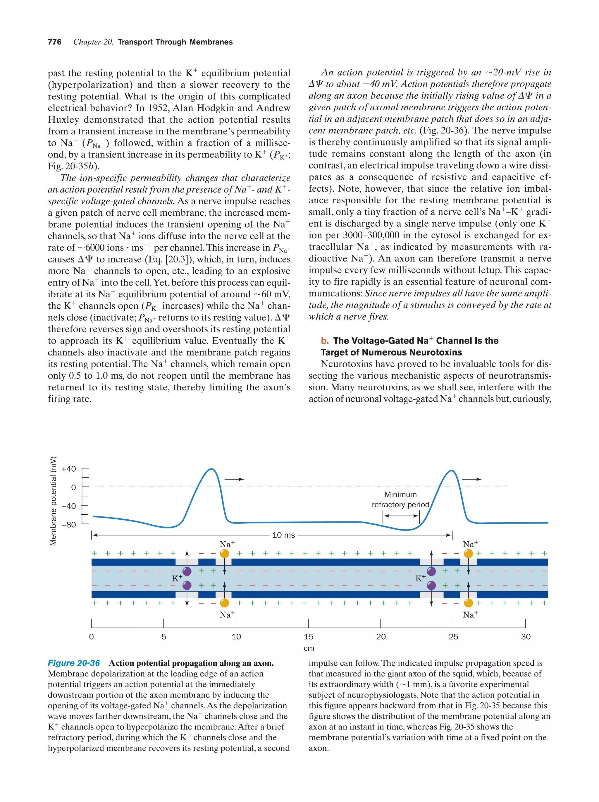 Biochemistry.4th.edition