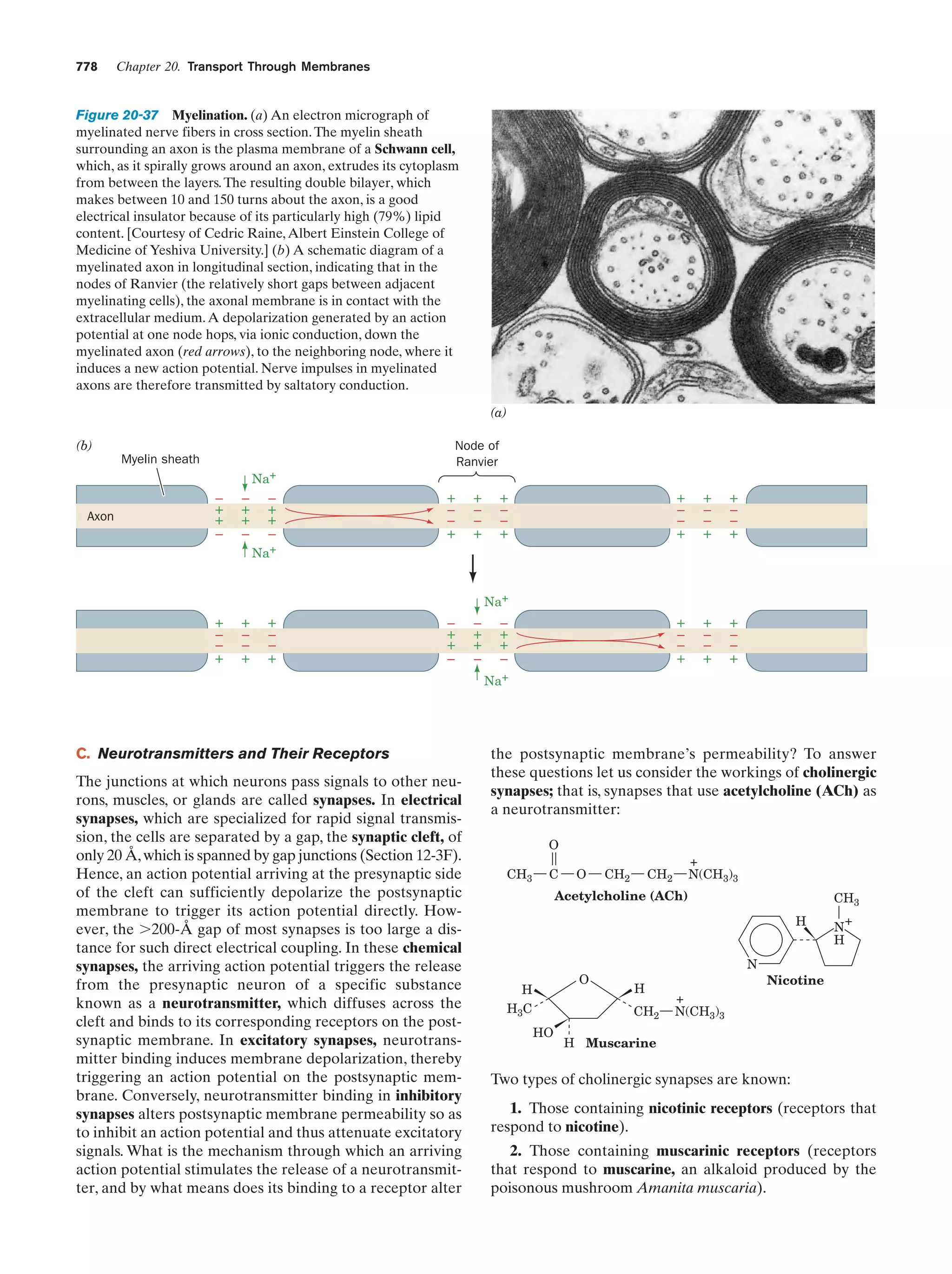 Biochemistry.4th.edition