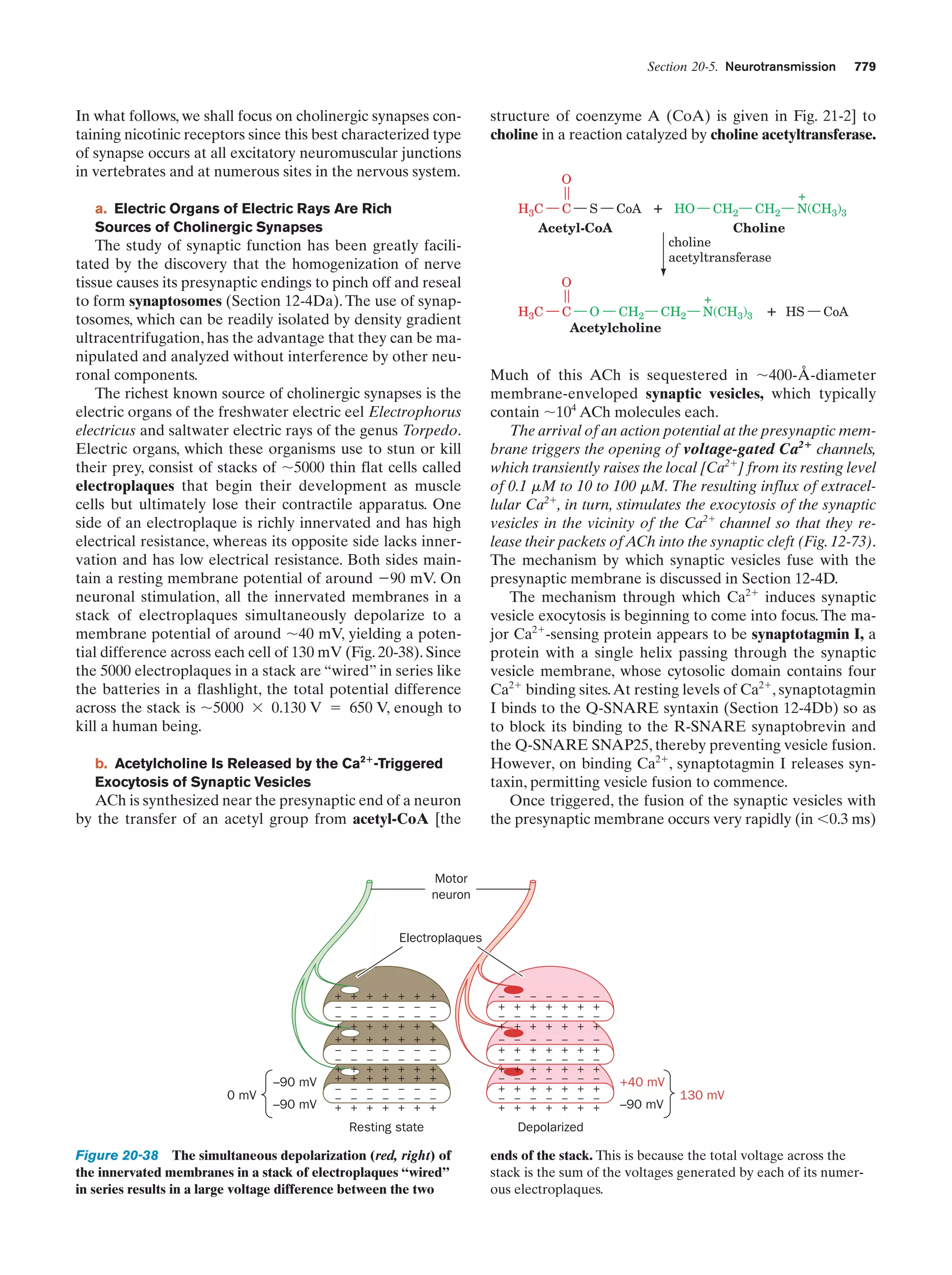 Biochemistry.4th.edition