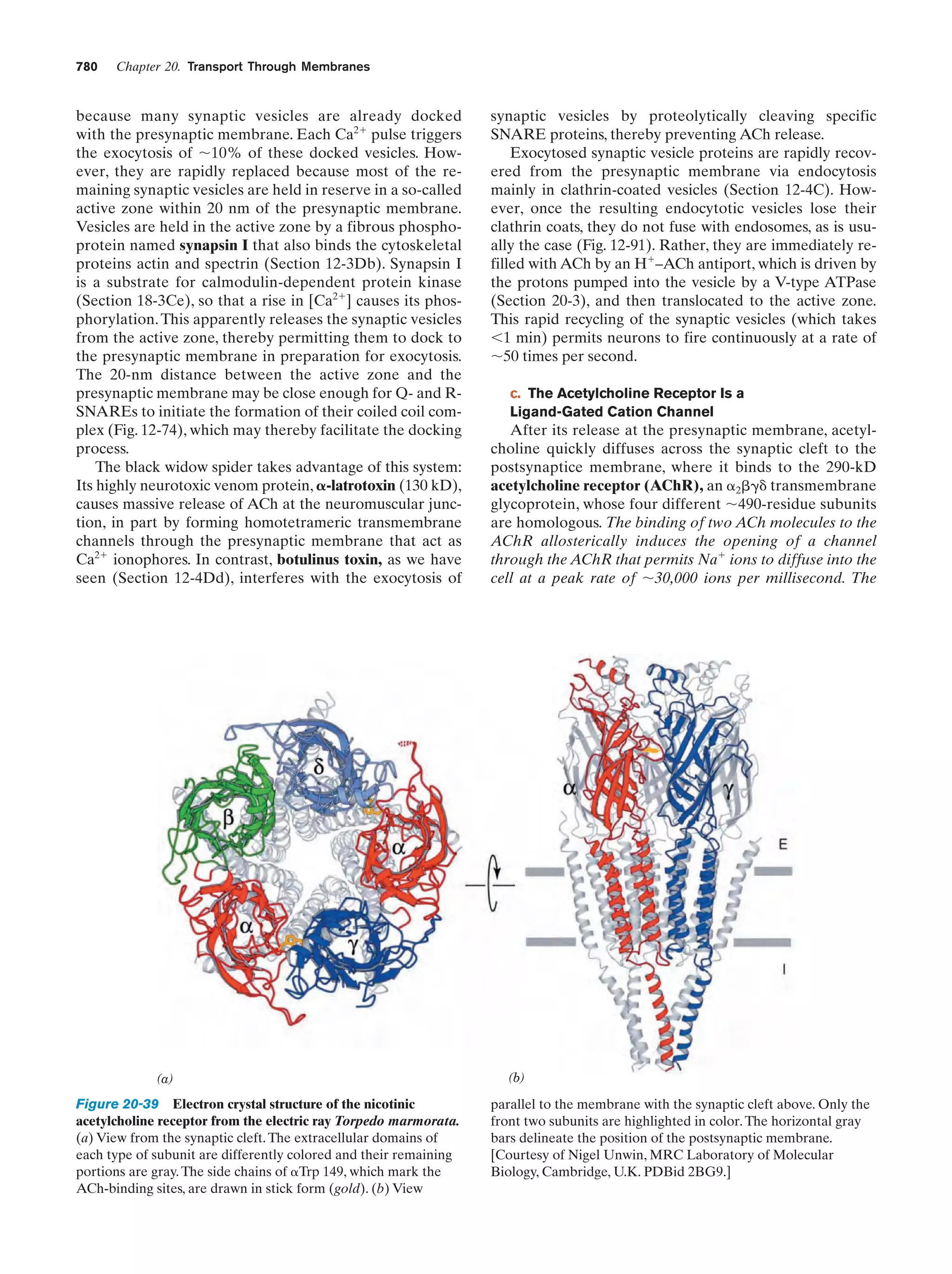Biochemistry.4th.edition