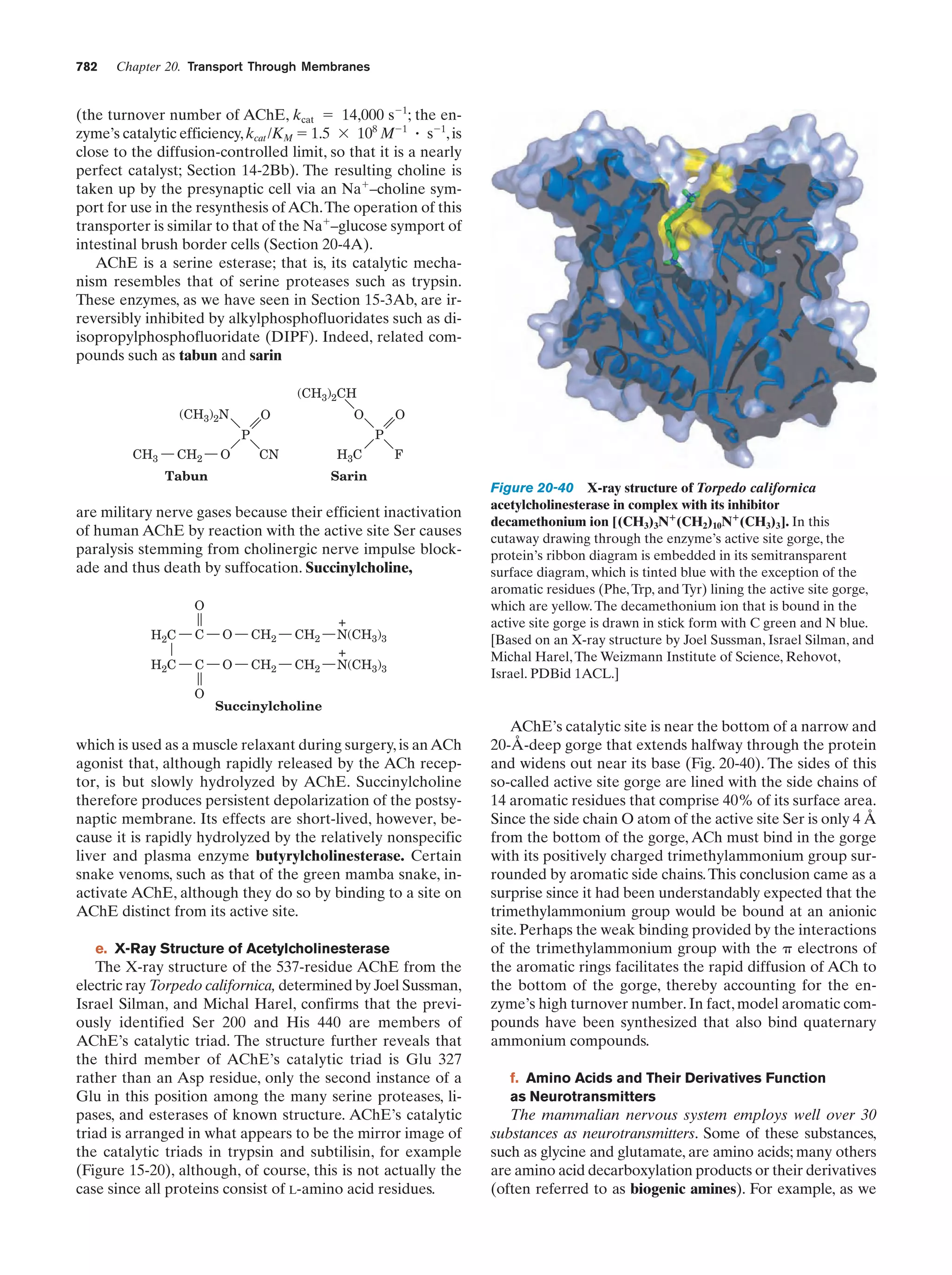 Biochemistry.4th.edition