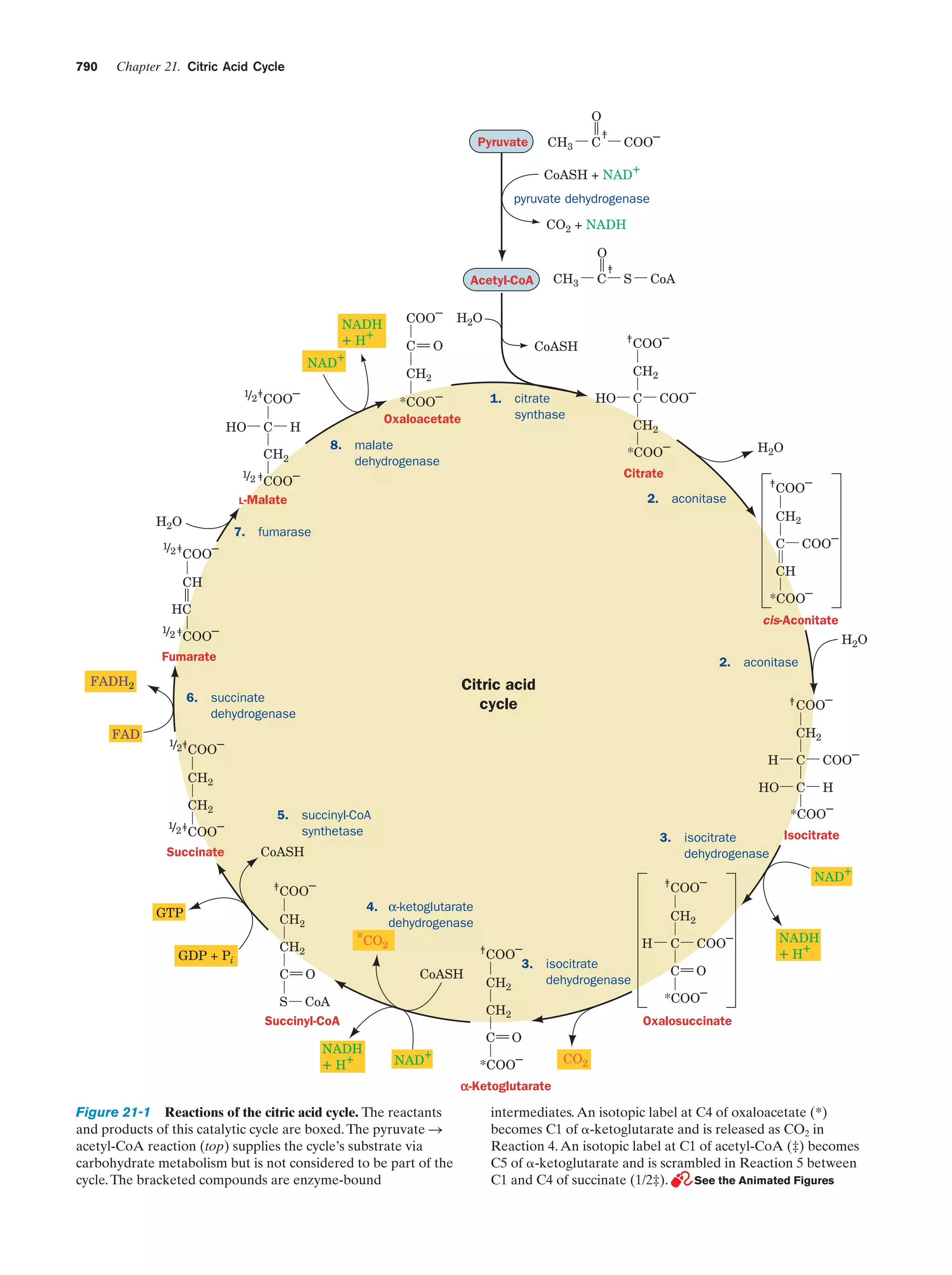 Biochemistry.4th.edition