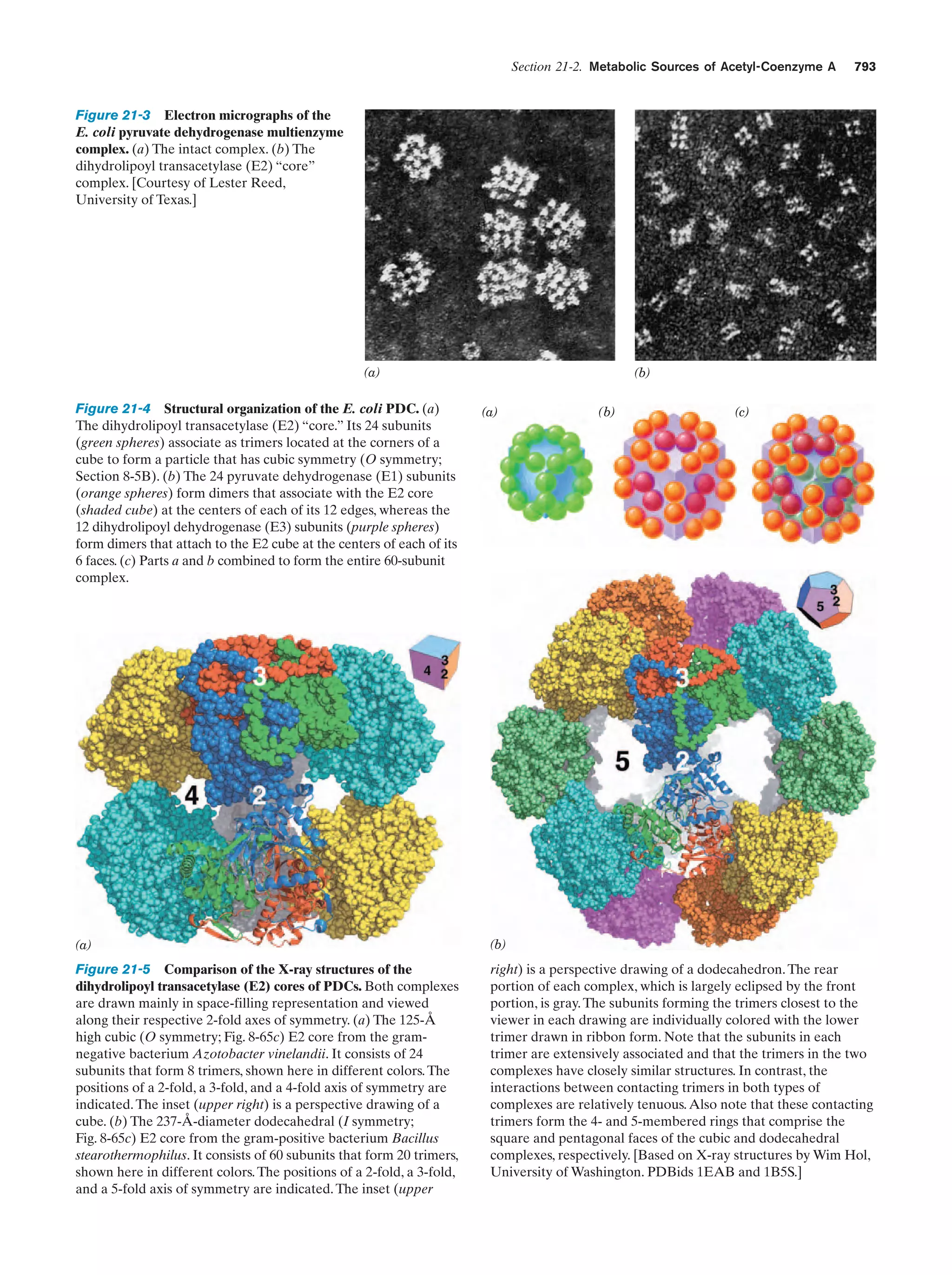 Biochemistry.4th.edition