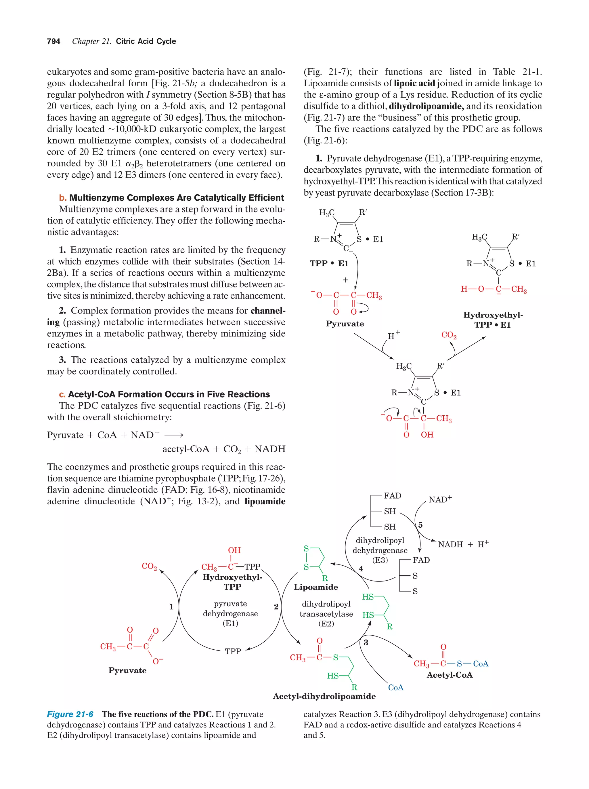 Biochemistry.4th.edition