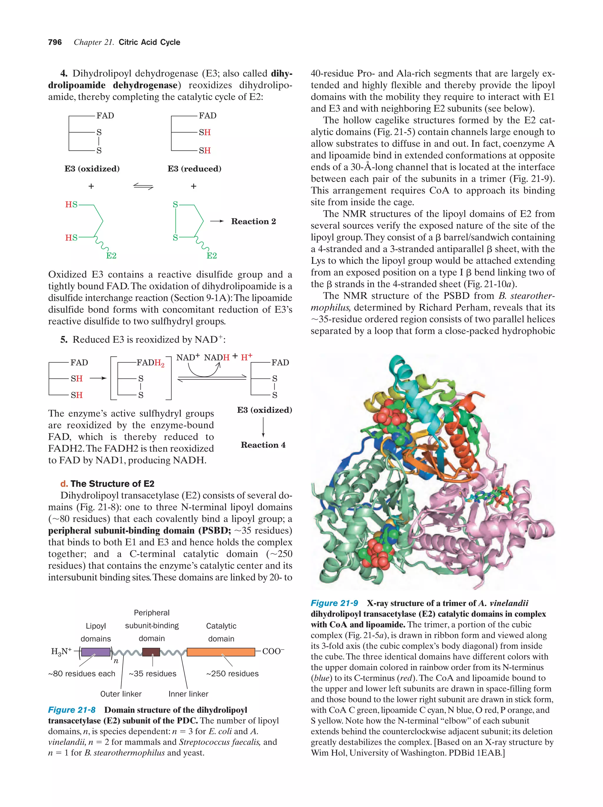 Biochemistry.4th.edition