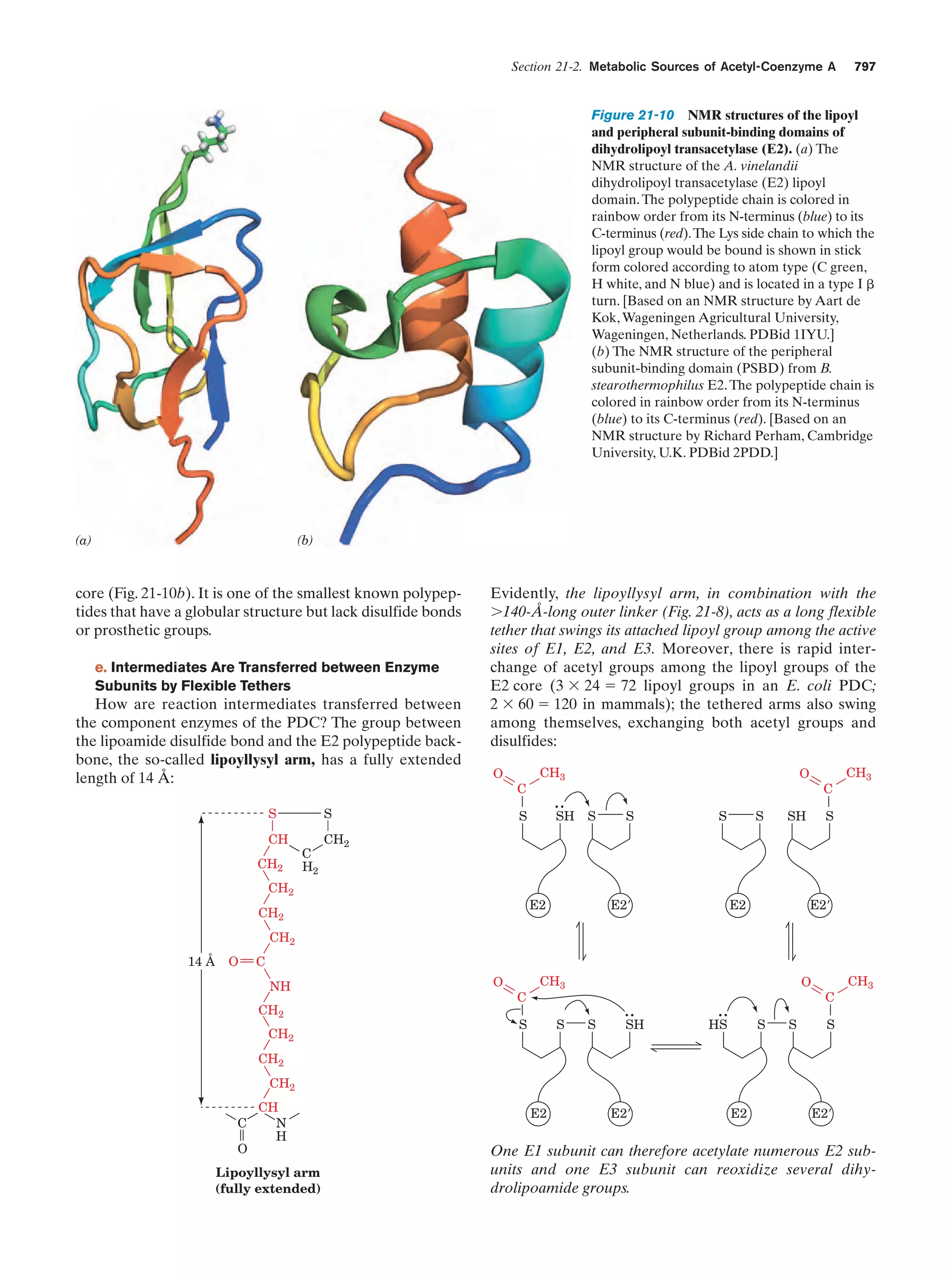 Biochemistry.4th.edition