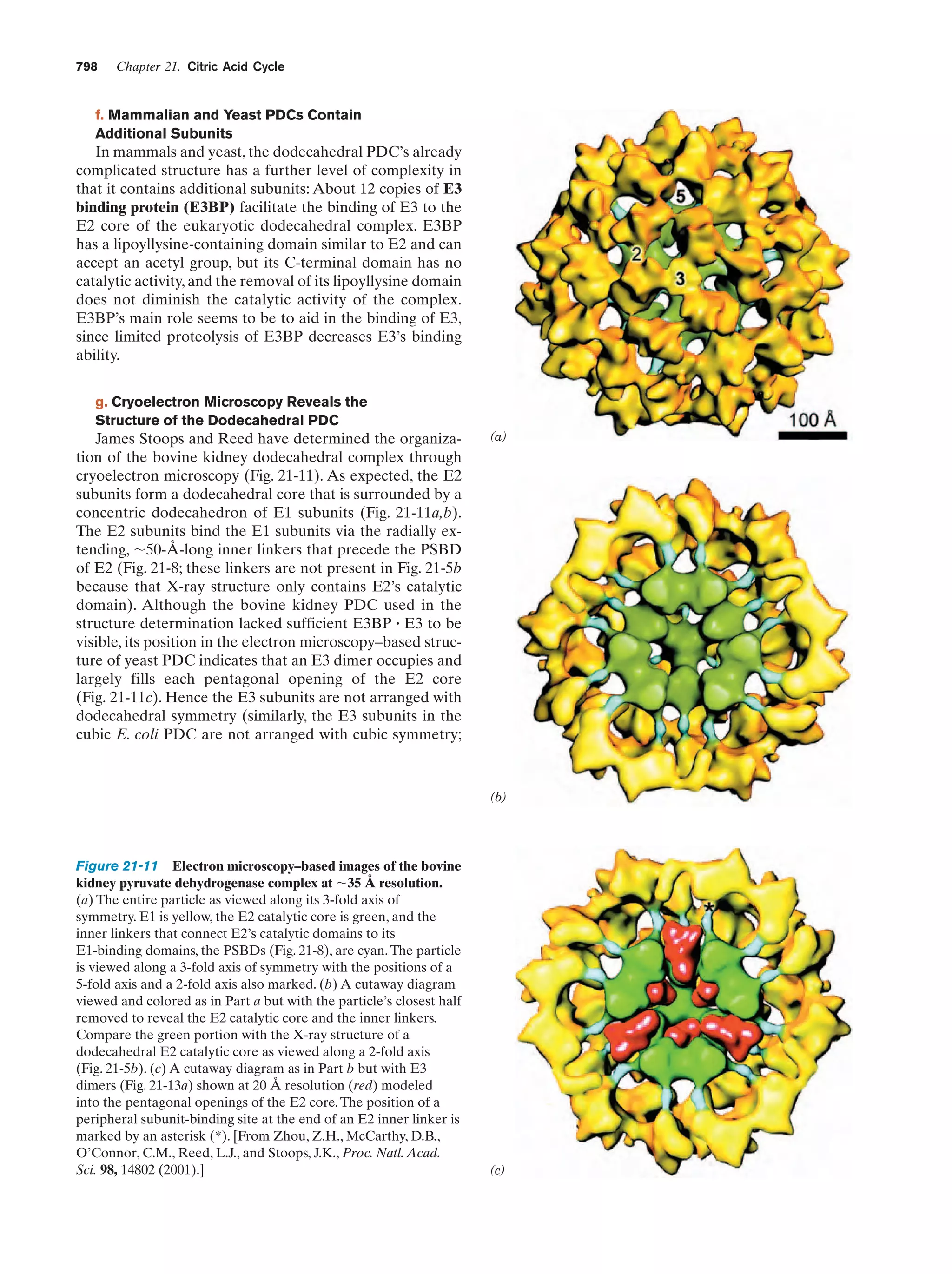 Biochemistry.4th.edition