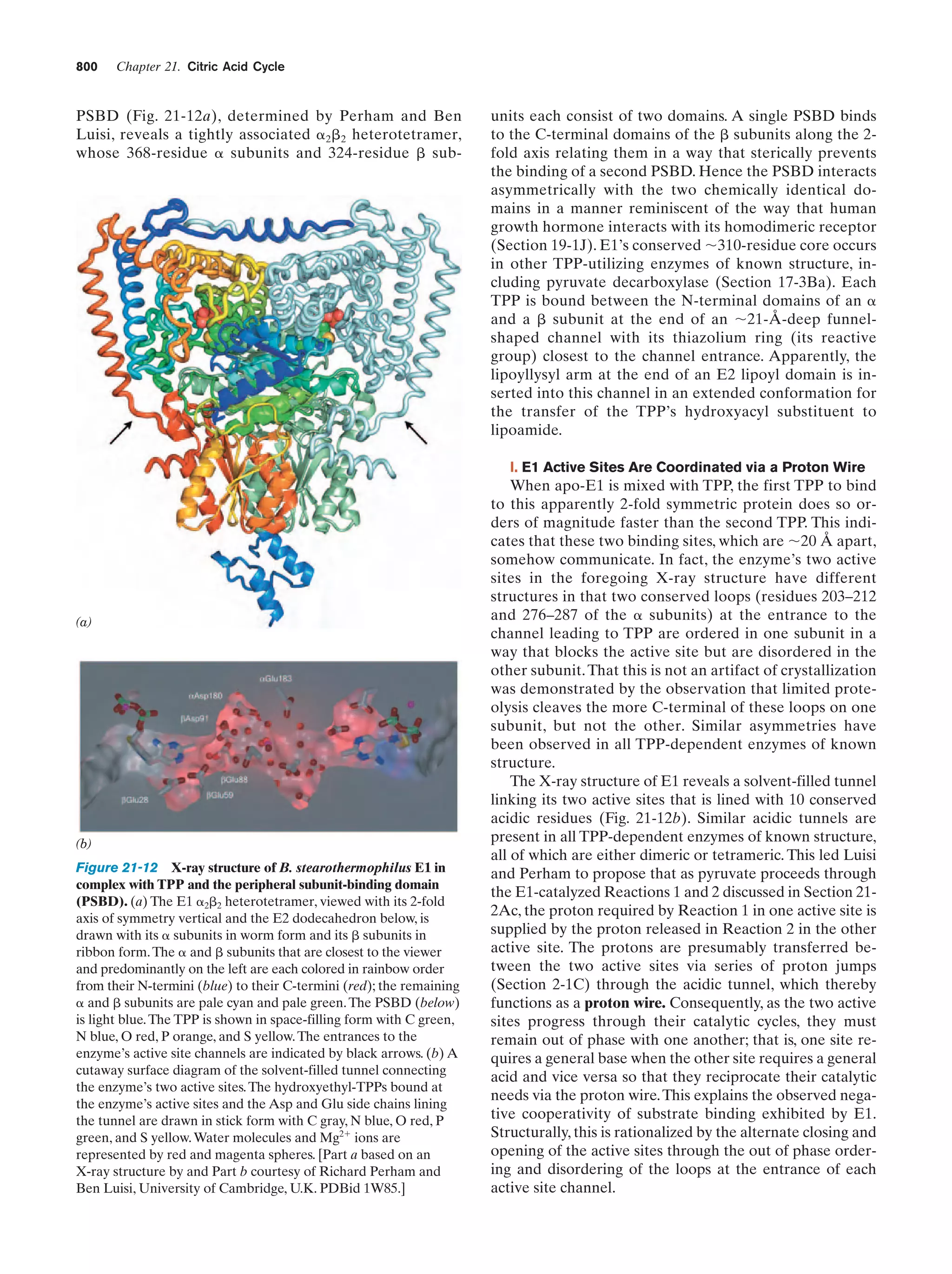Biochemistry.4th.edition