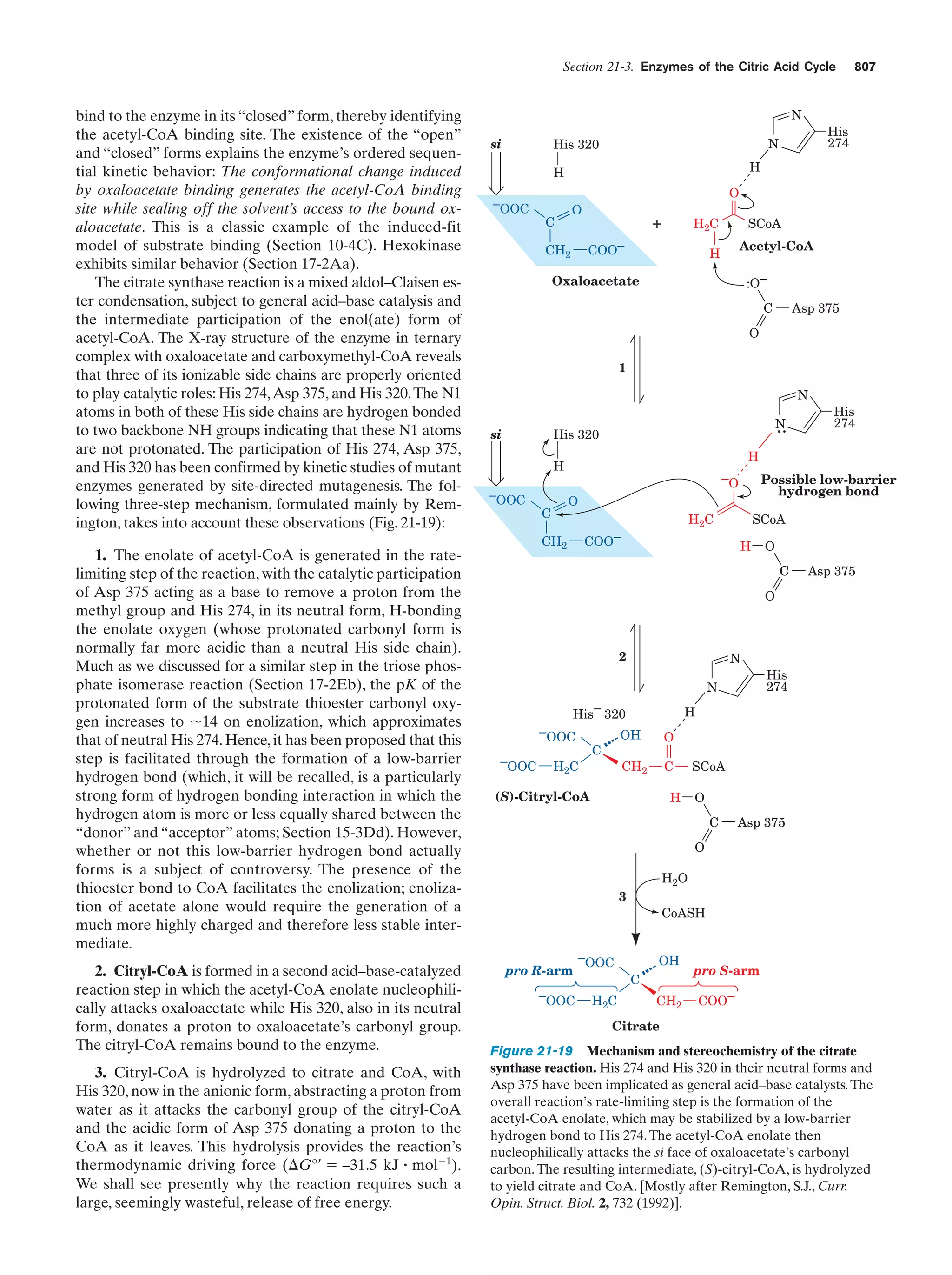Biochemistry.4th.edition