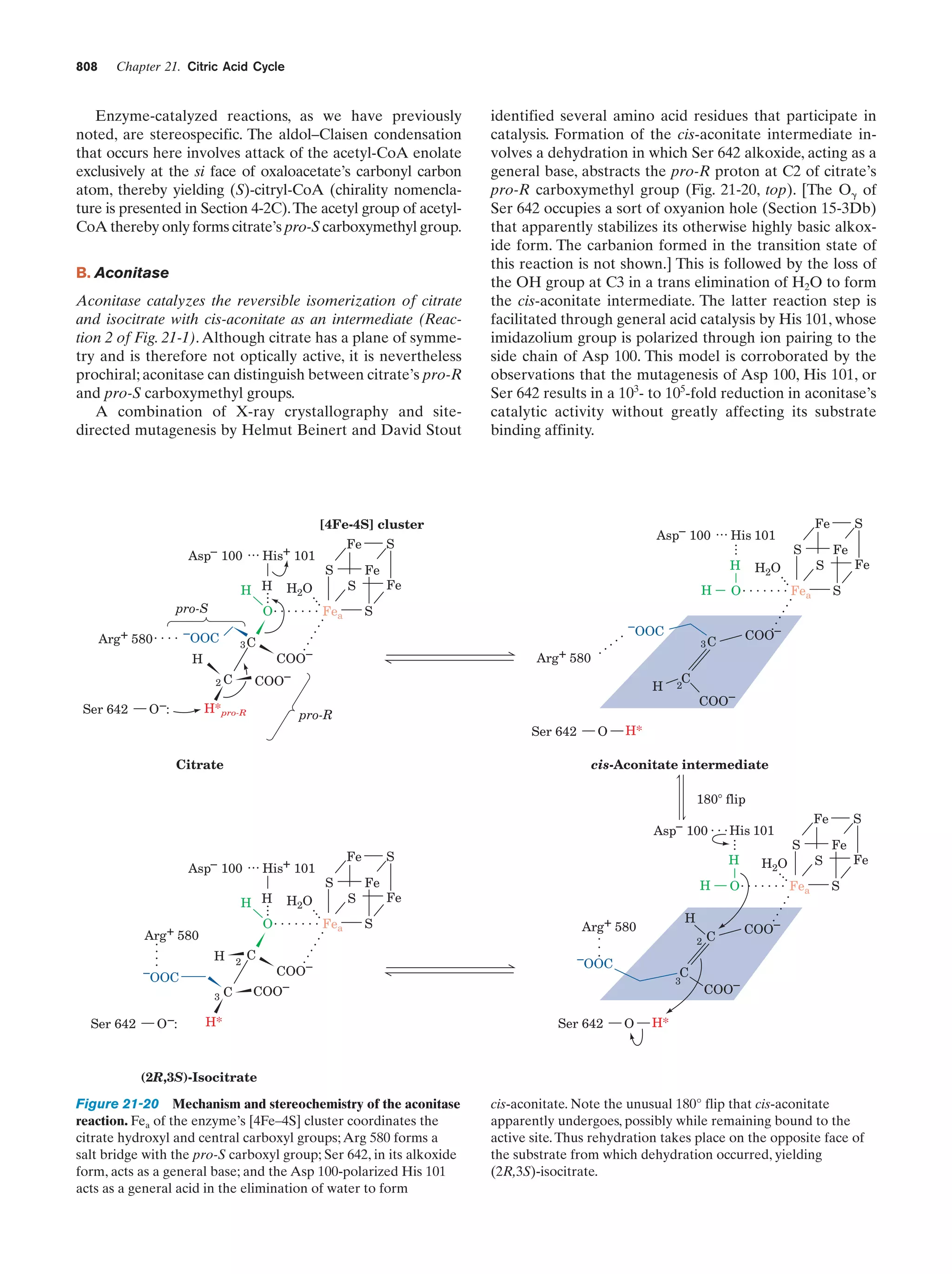 Biochemistry.4th.edition