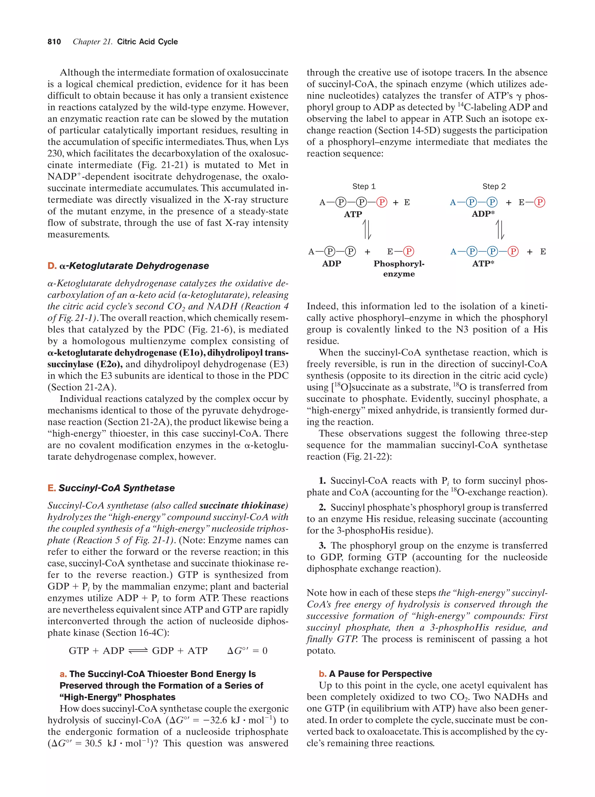 Biochemistry.4th.edition