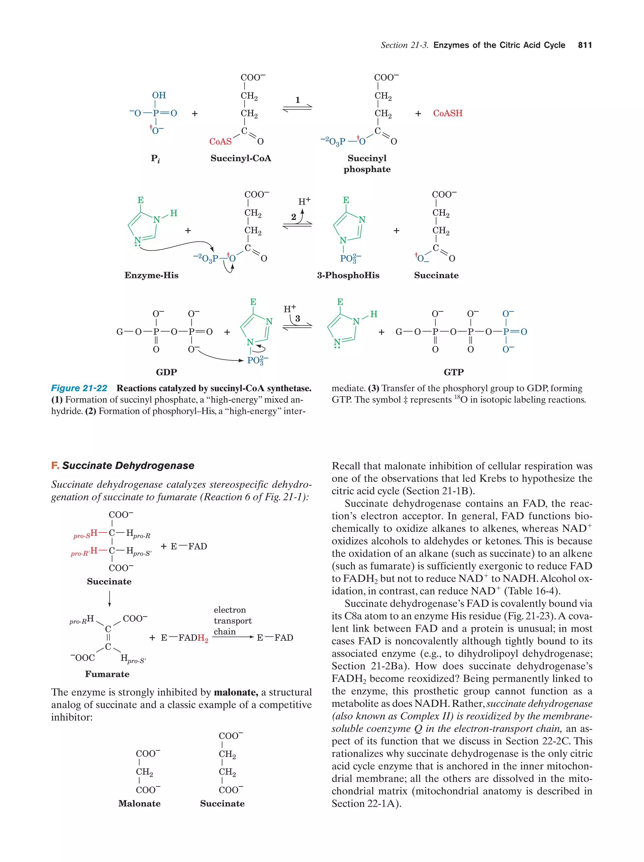 Biochemistry.4th.edition