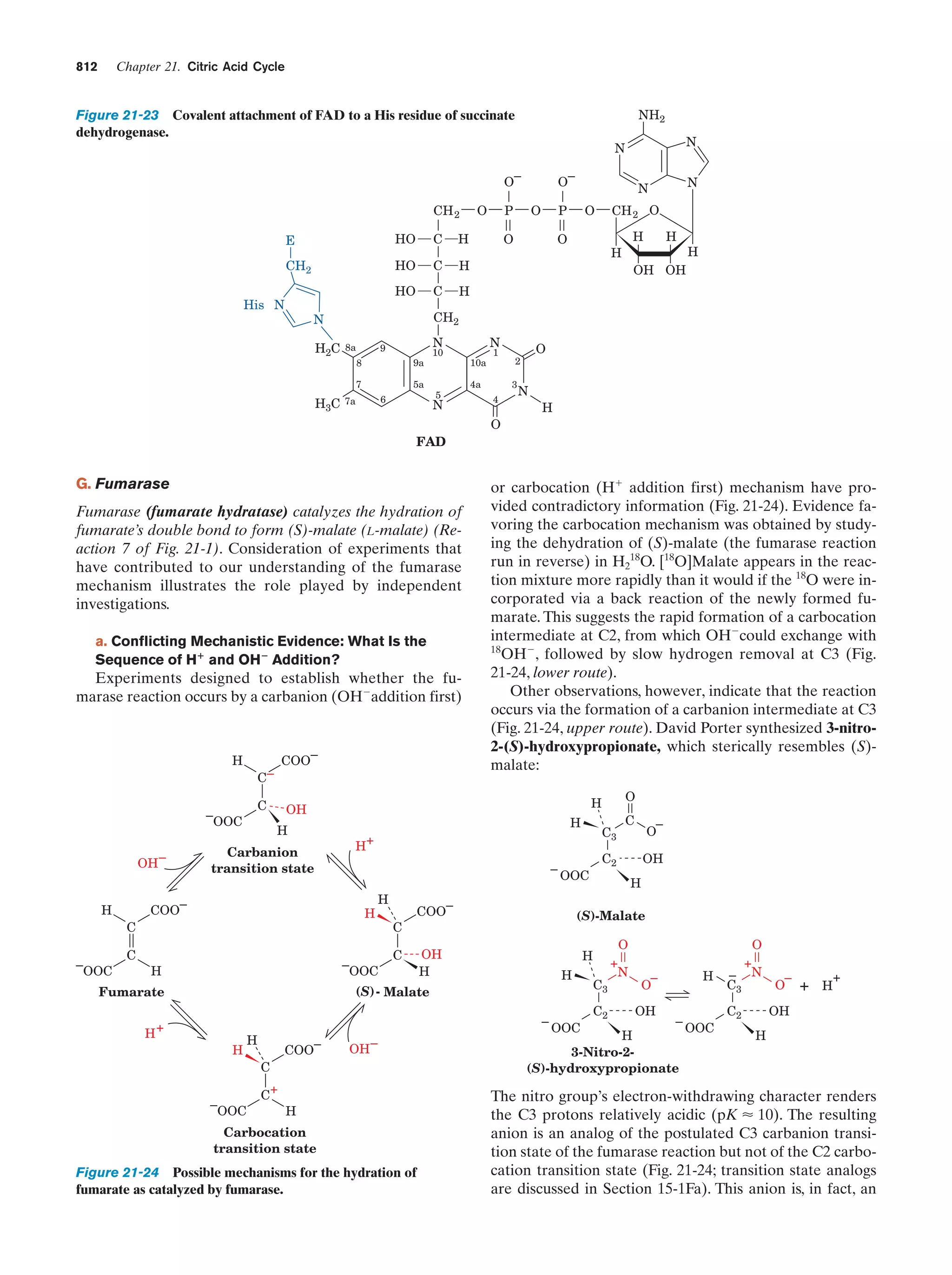 Biochemistry.4th.edition
