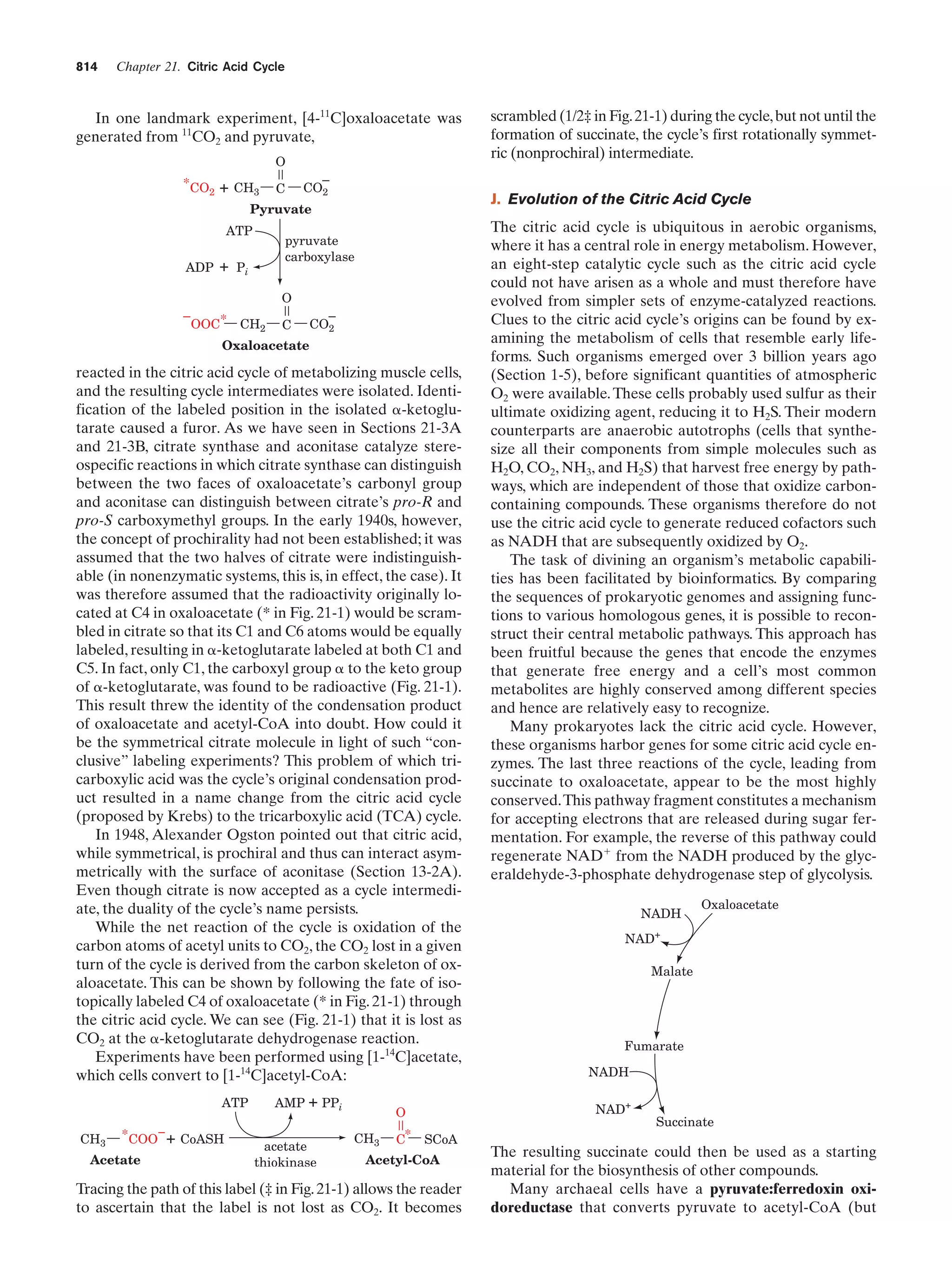 Biochemistry.4th.edition