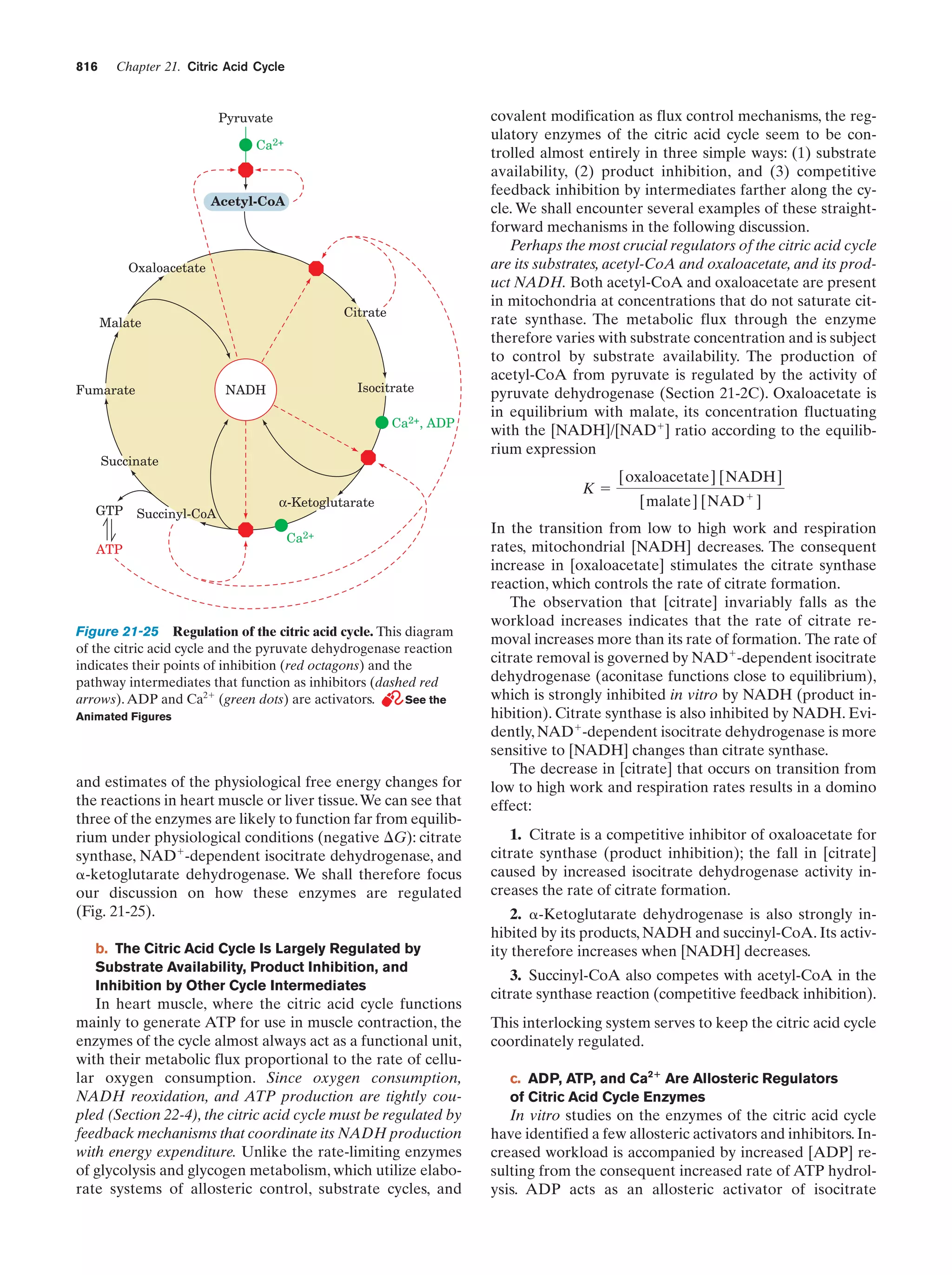 Biochemistry.4th.edition