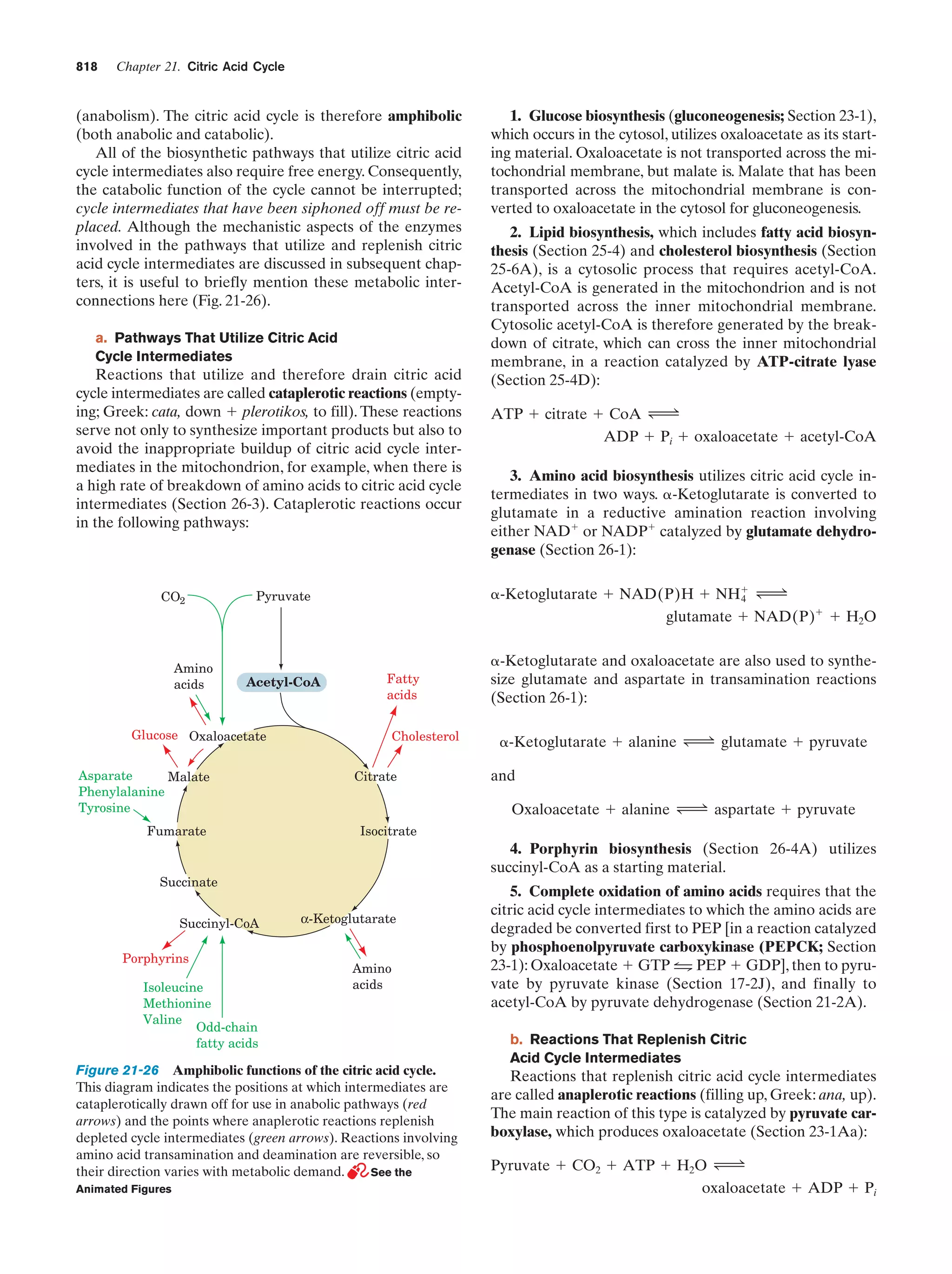Biochemistry.4th.edition