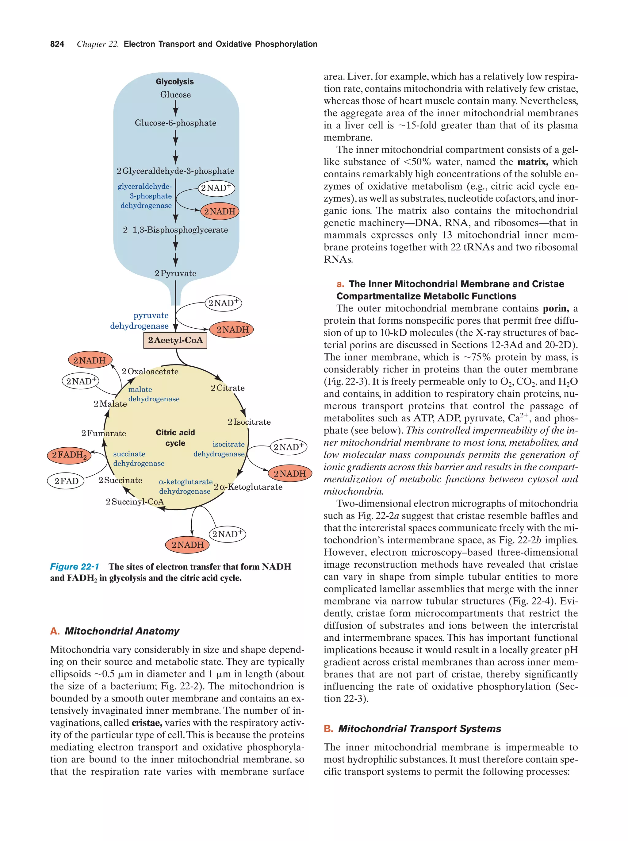 Biochemistry.4th.edition
