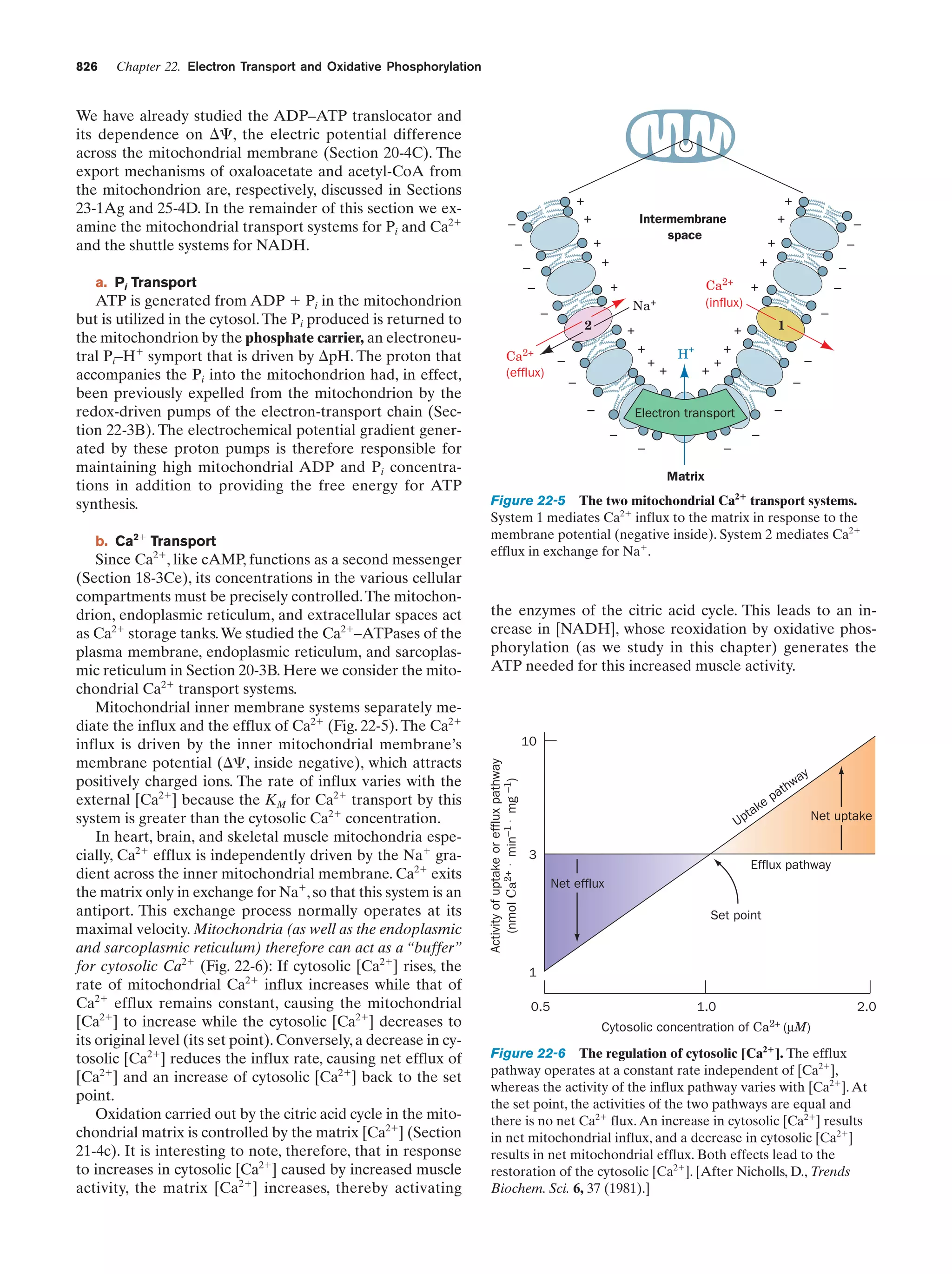 Biochemistry.4th.edition