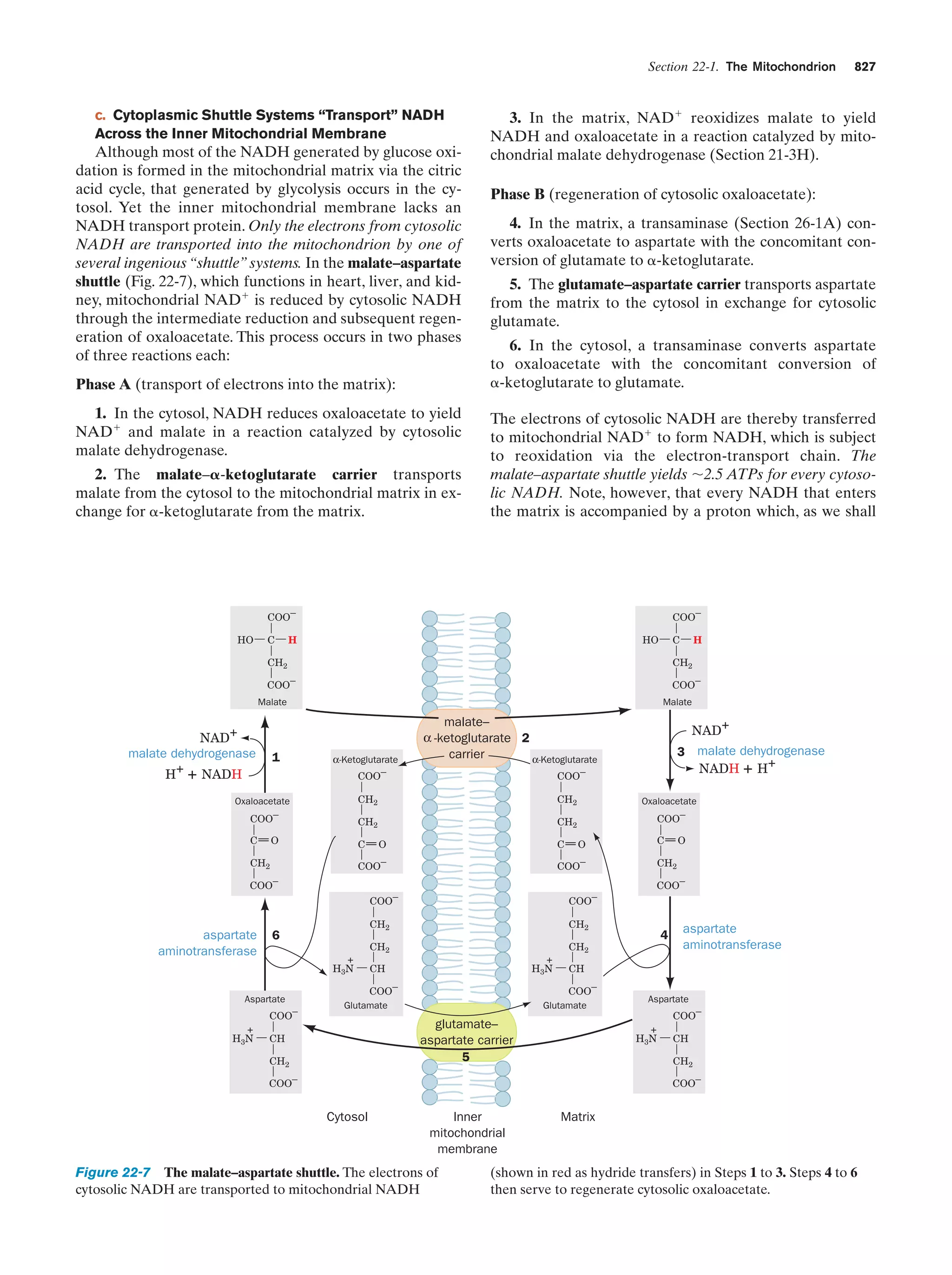 Biochemistry.4th.edition