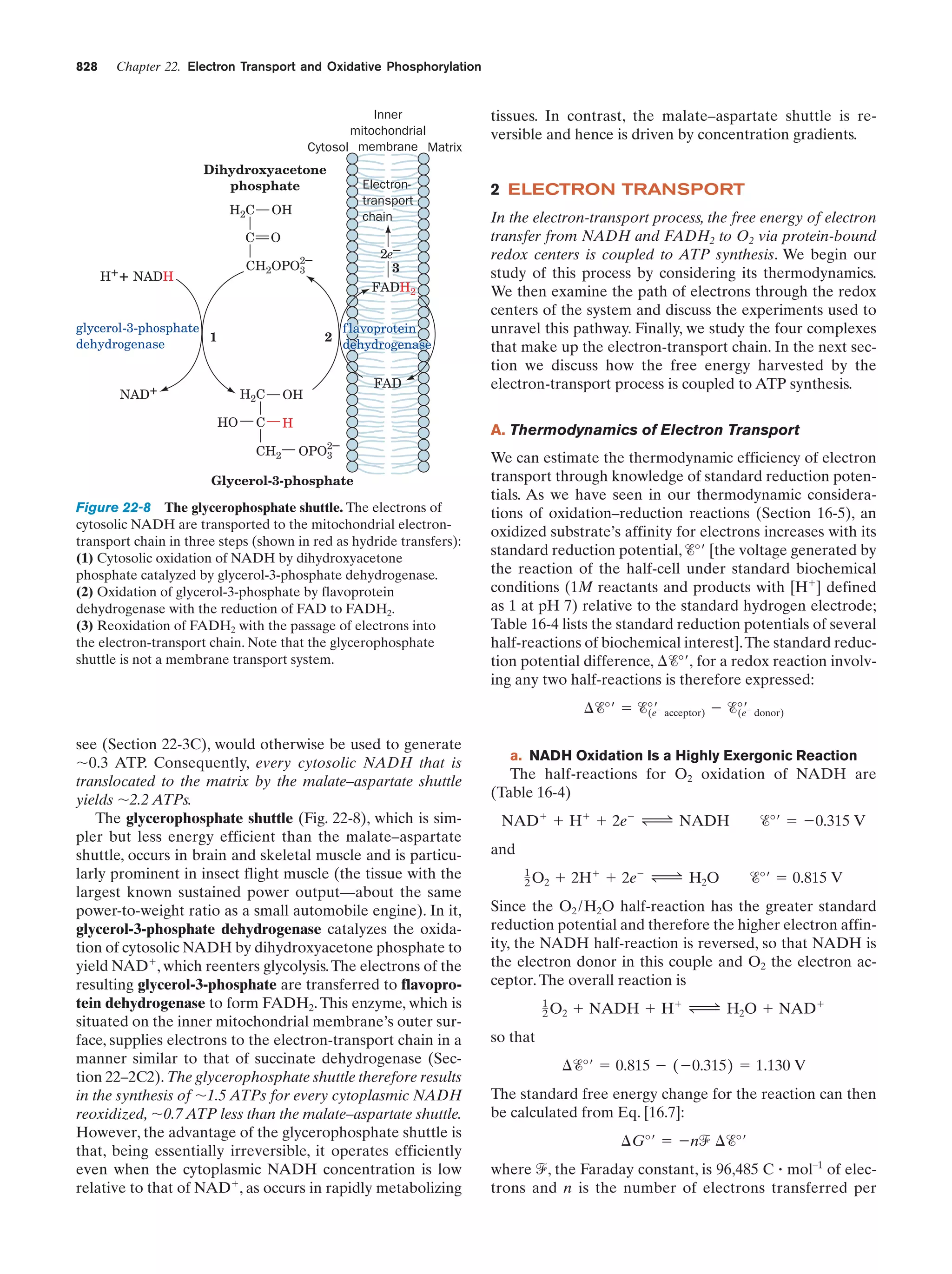 Biochemistry.4th.edition
