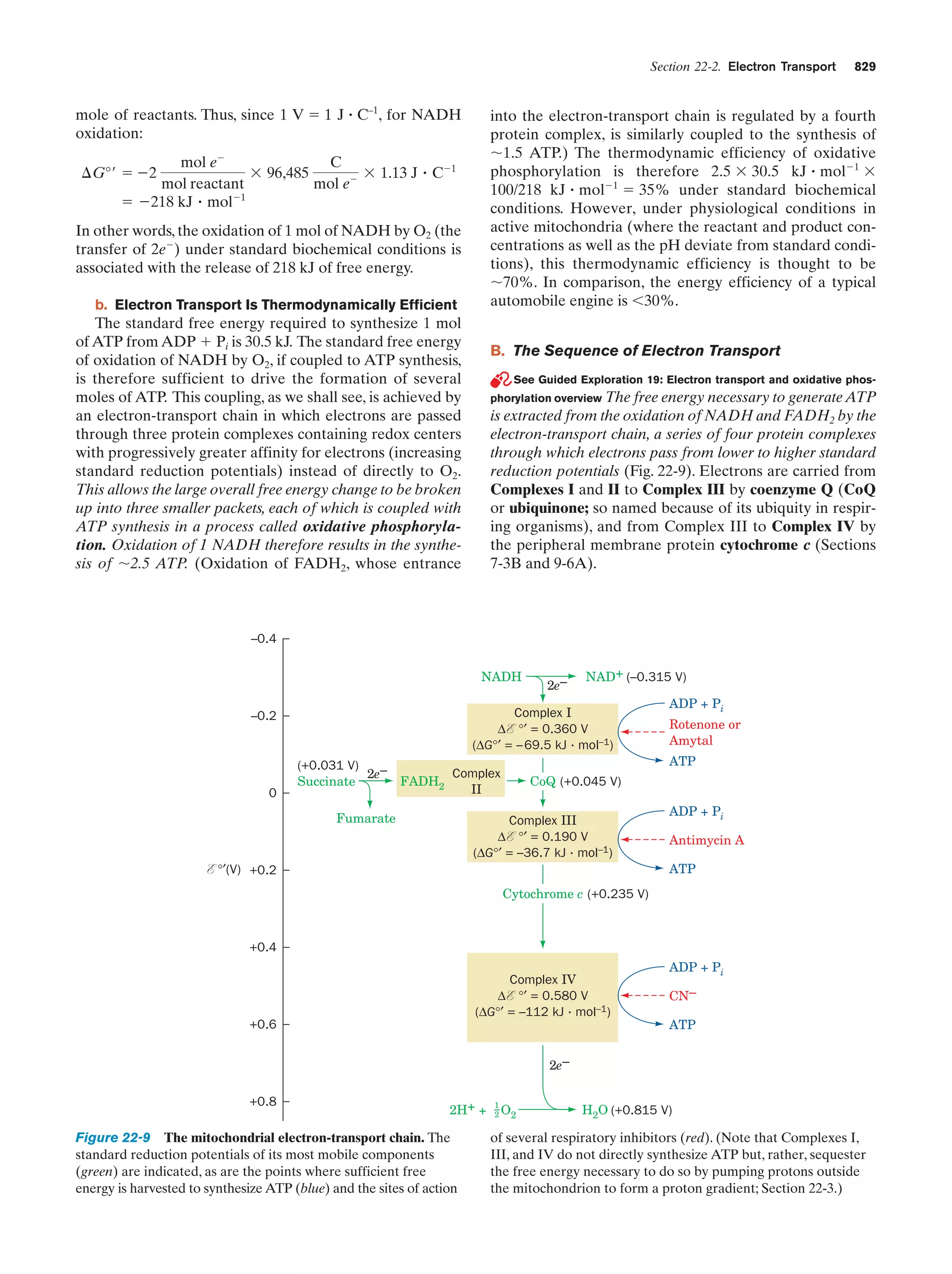 Biochemistry.4th.edition