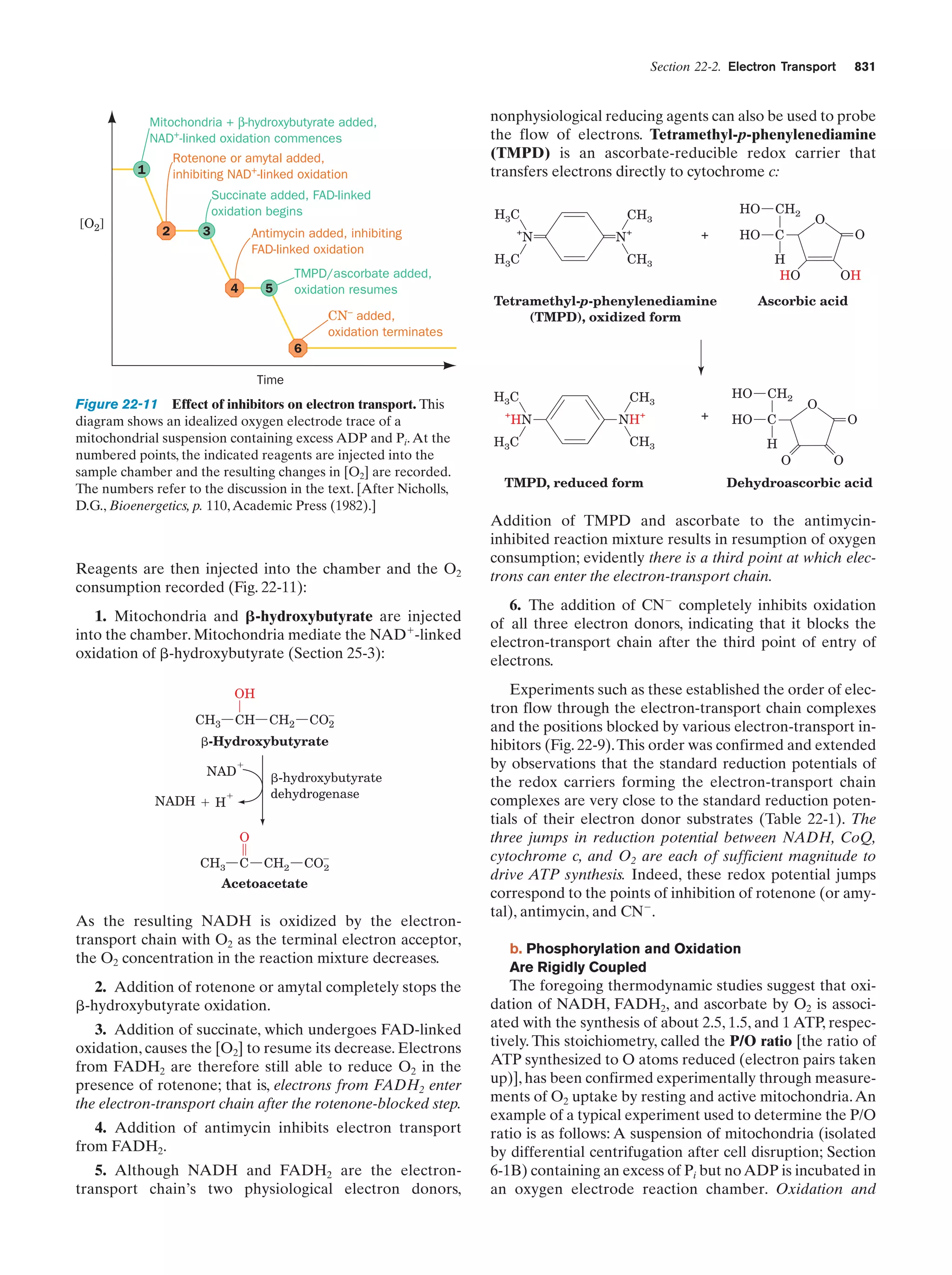 Biochemistry.4th.edition
