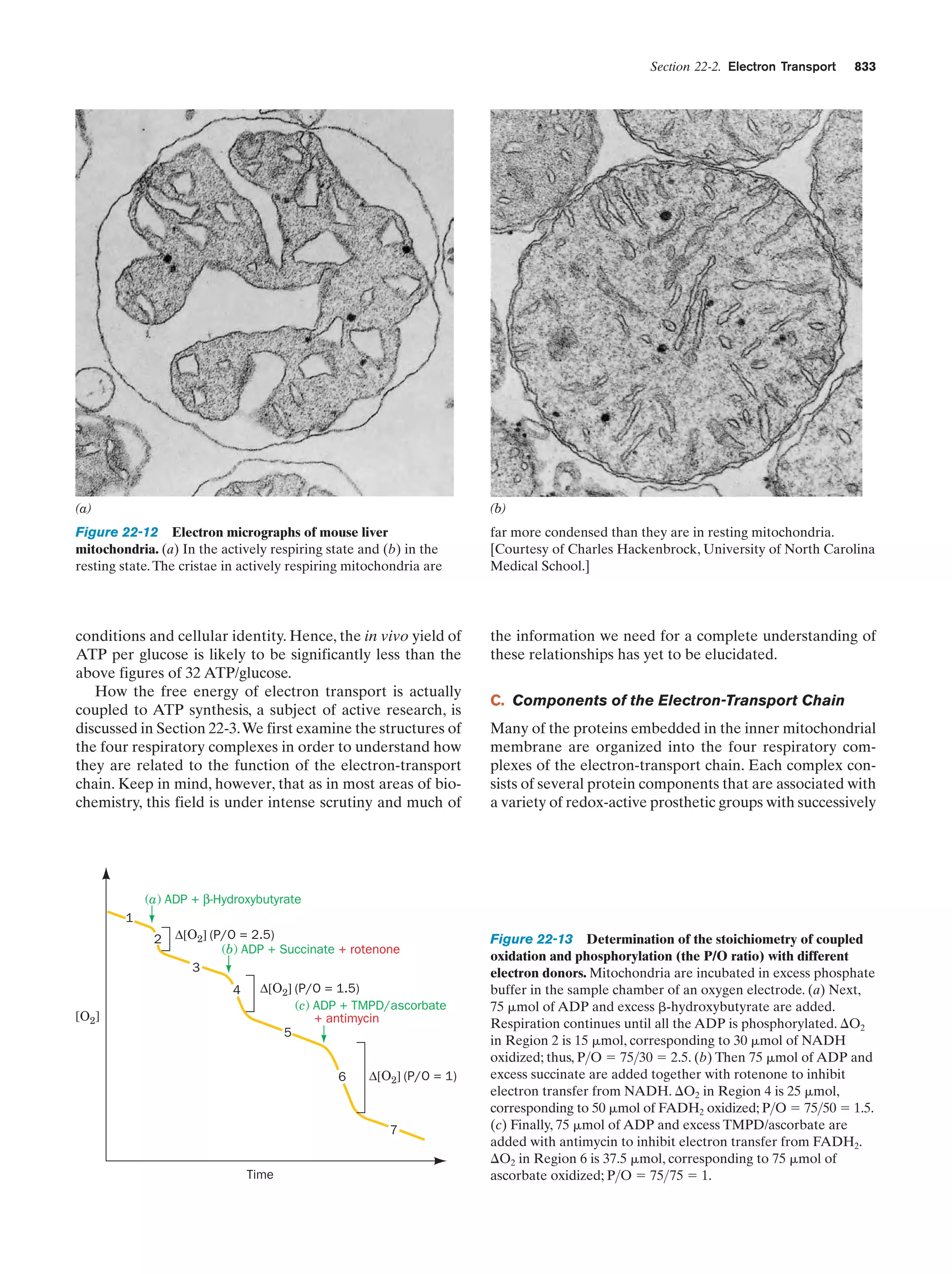 Biochemistry.4th.edition