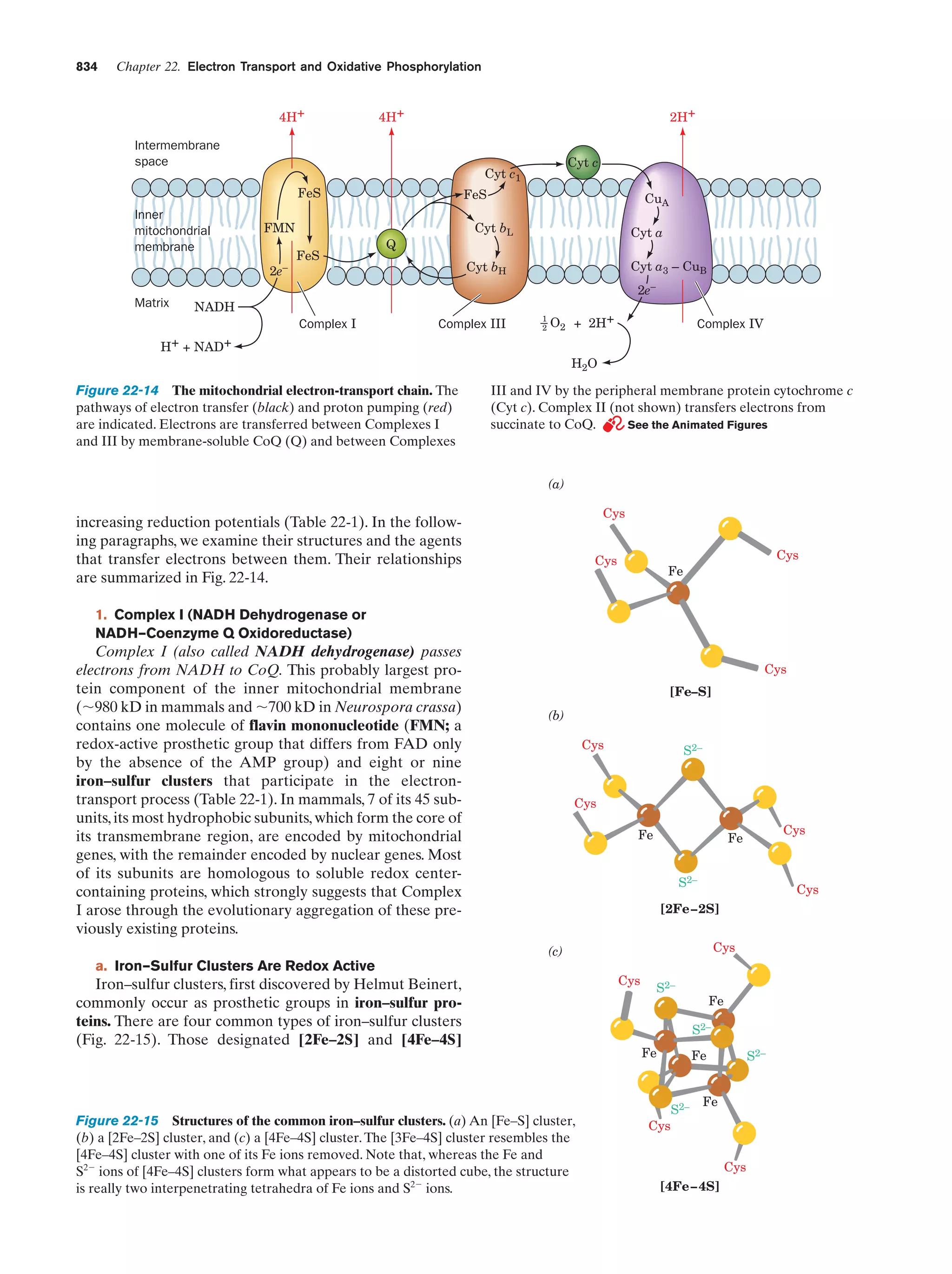 Biochemistry.4th.edition