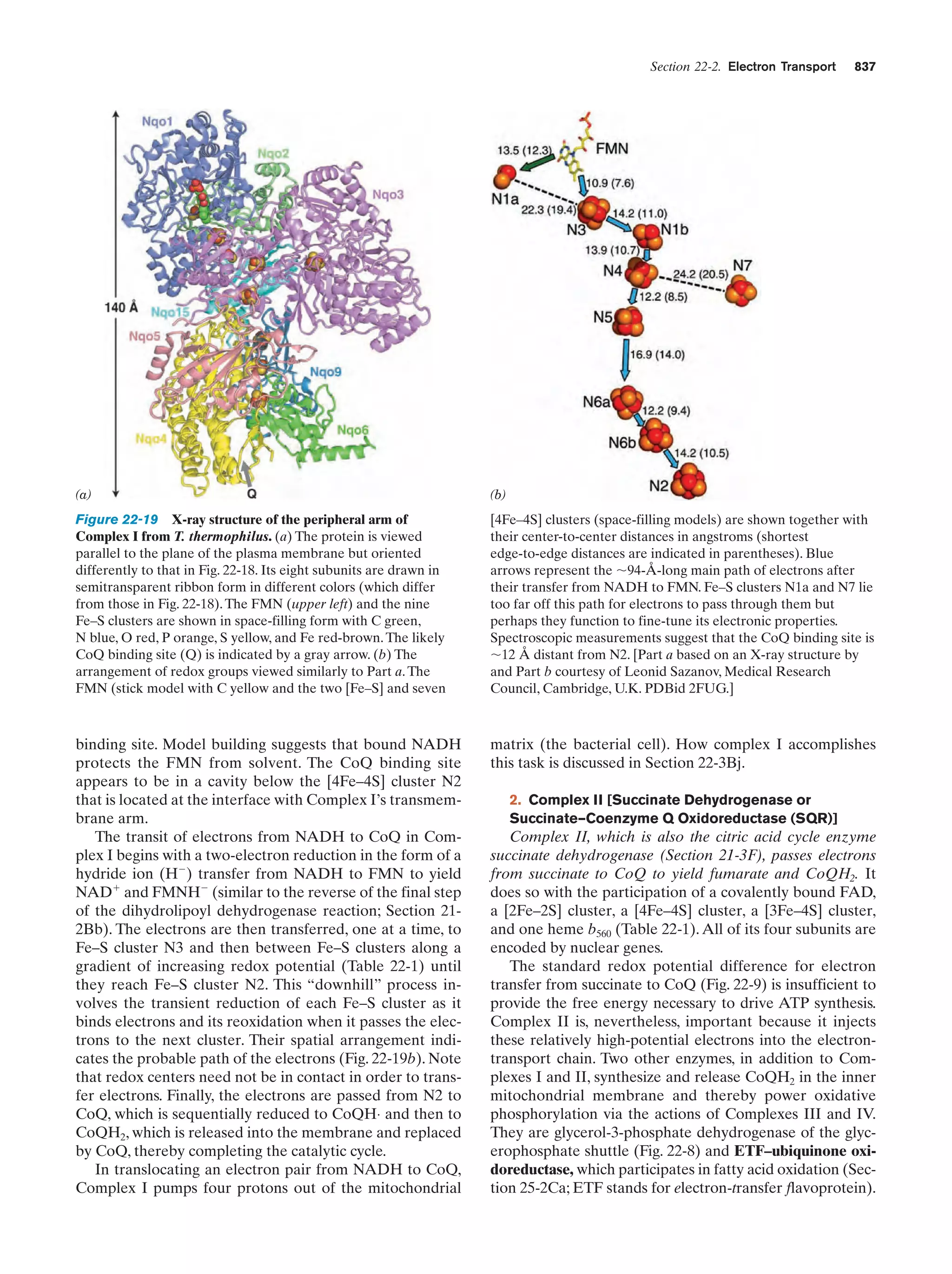 Biochemistry.4th.edition