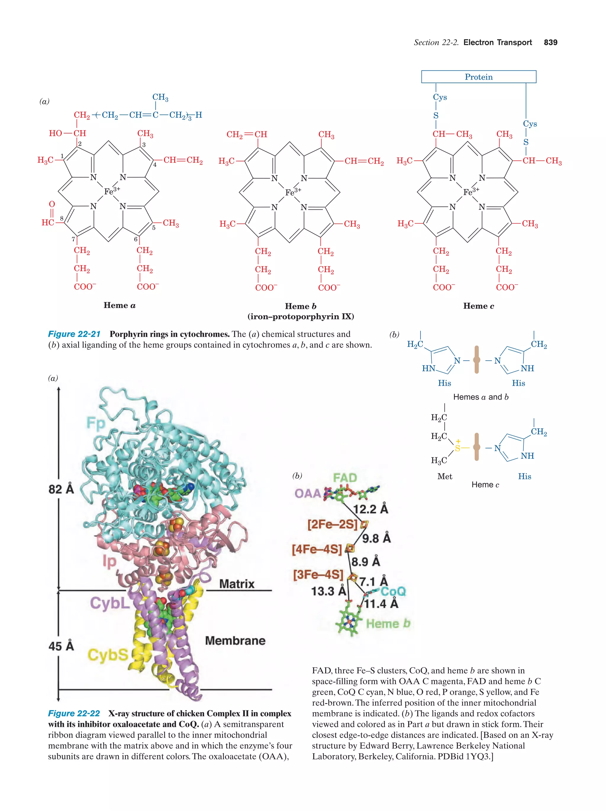 Biochemistry.4th.edition