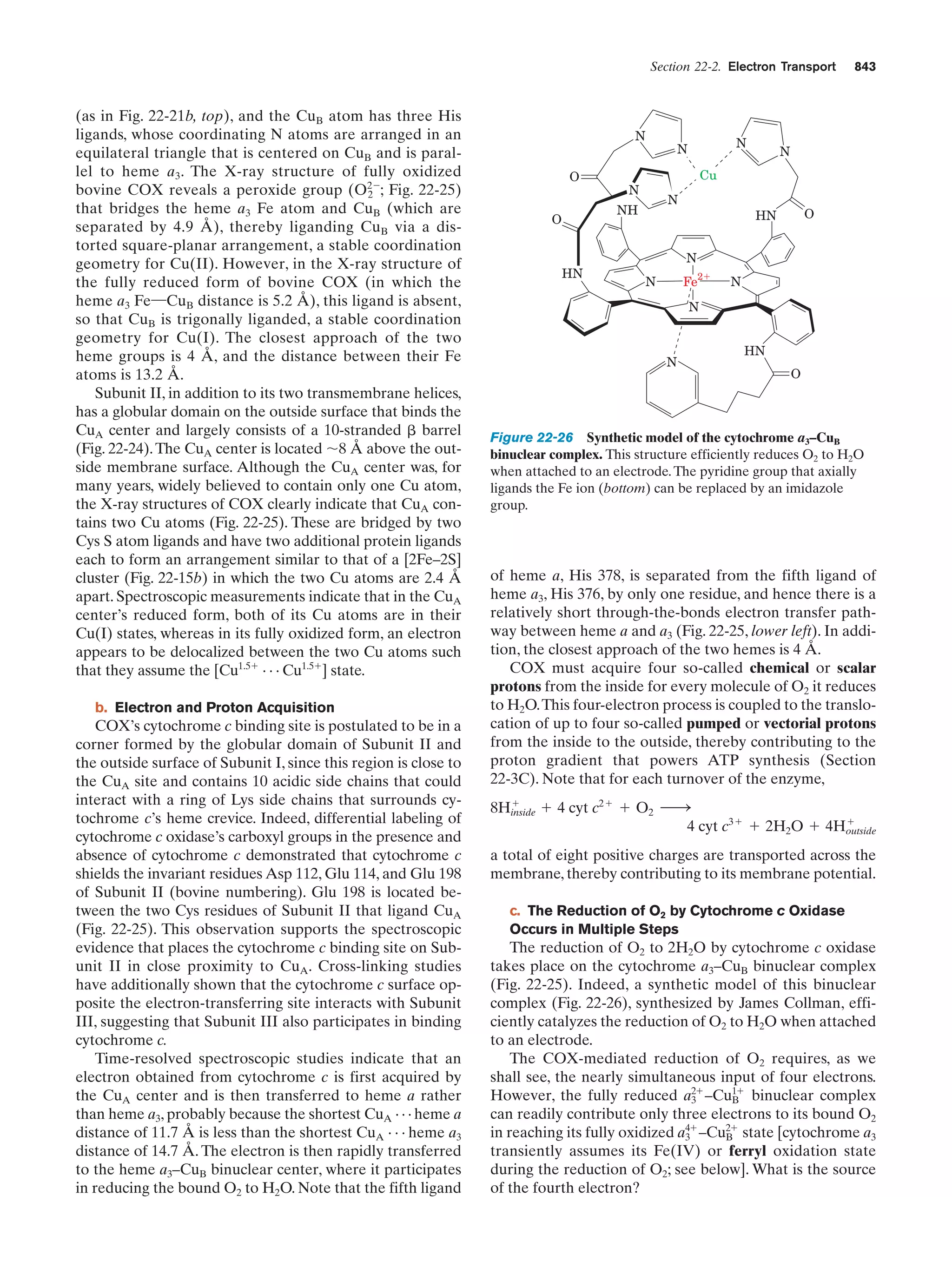 Biochemistry.4th.edition