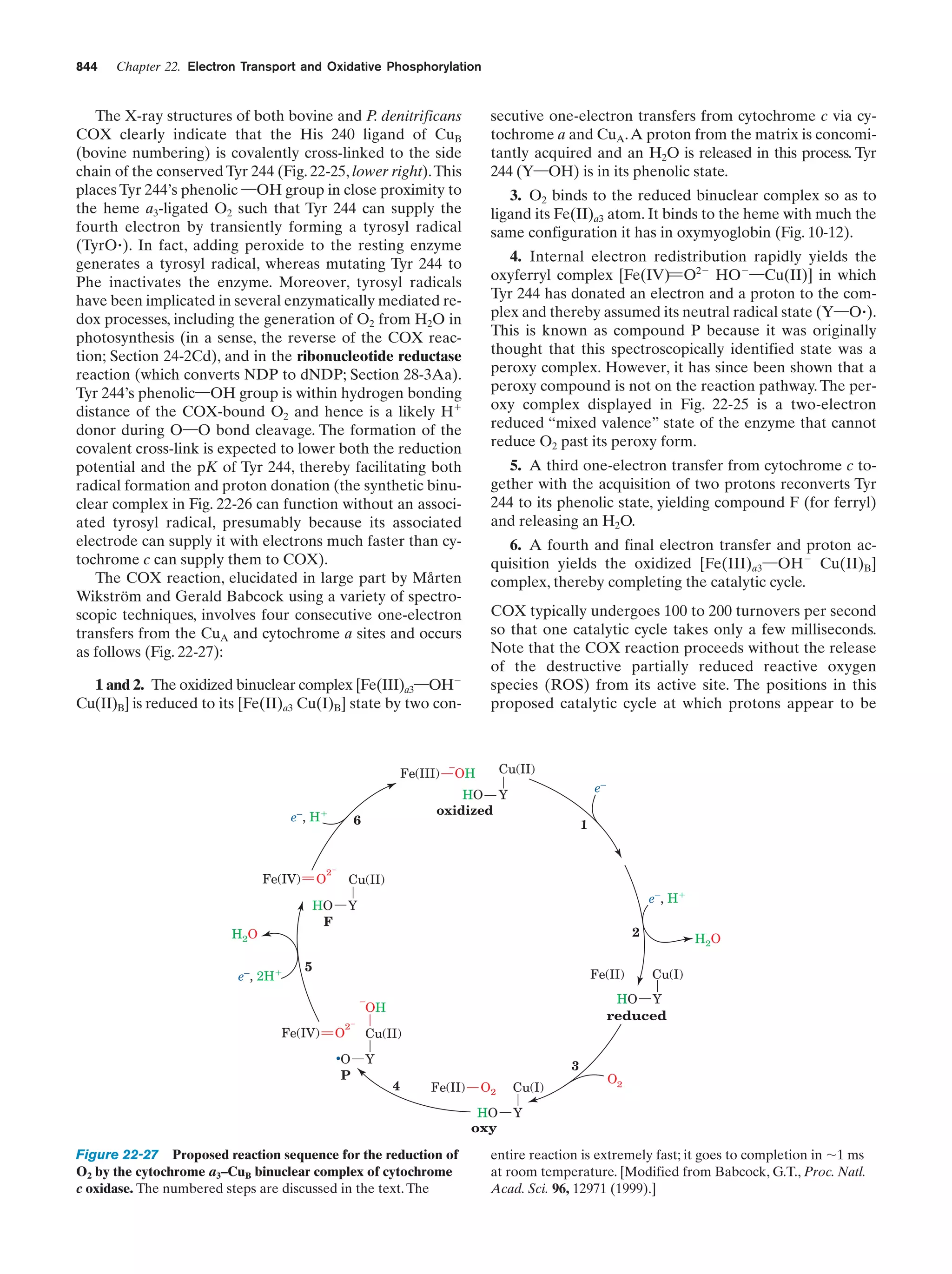 Biochemistry.4th.edition