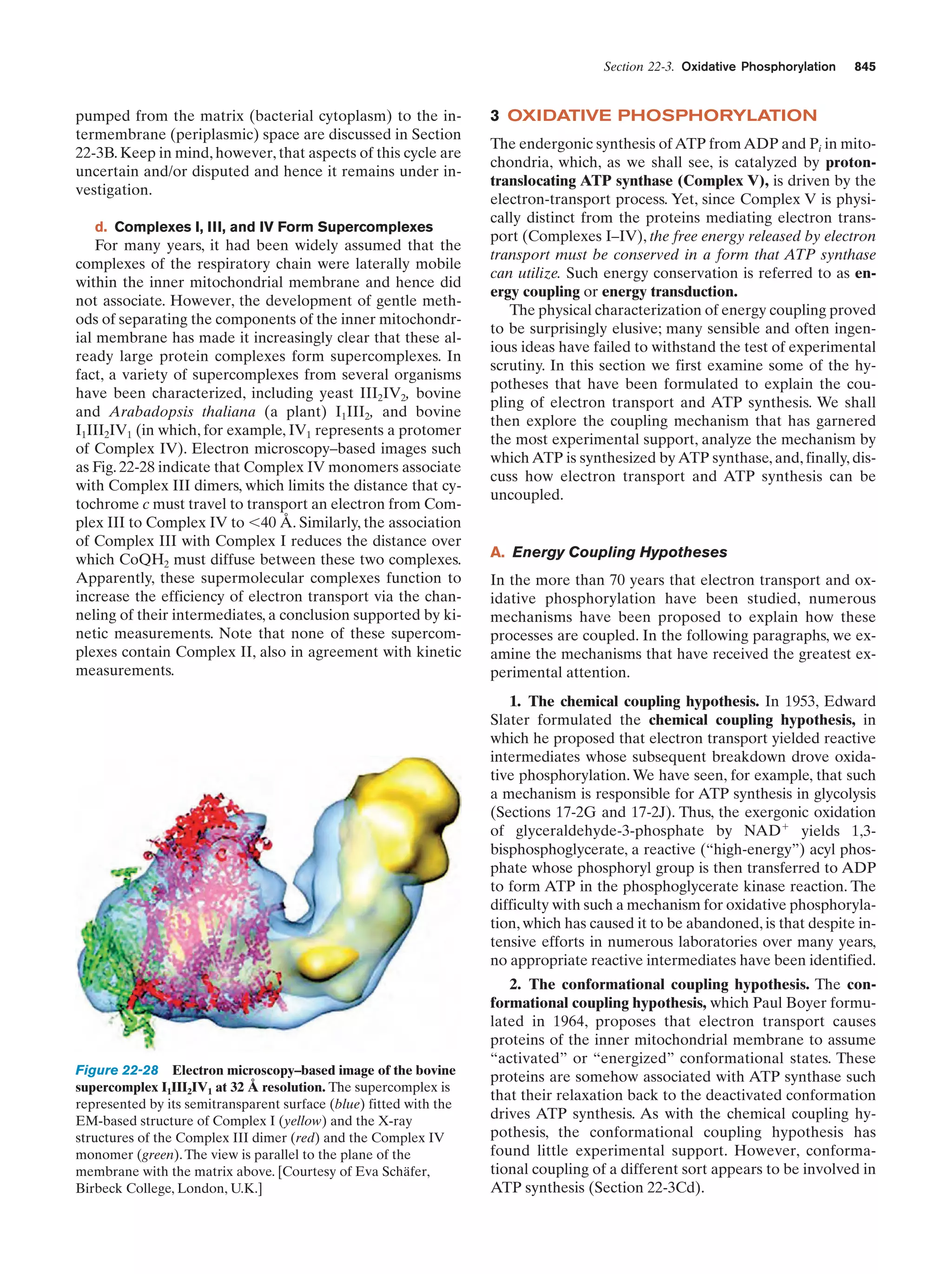 Biochemistry.4th.edition