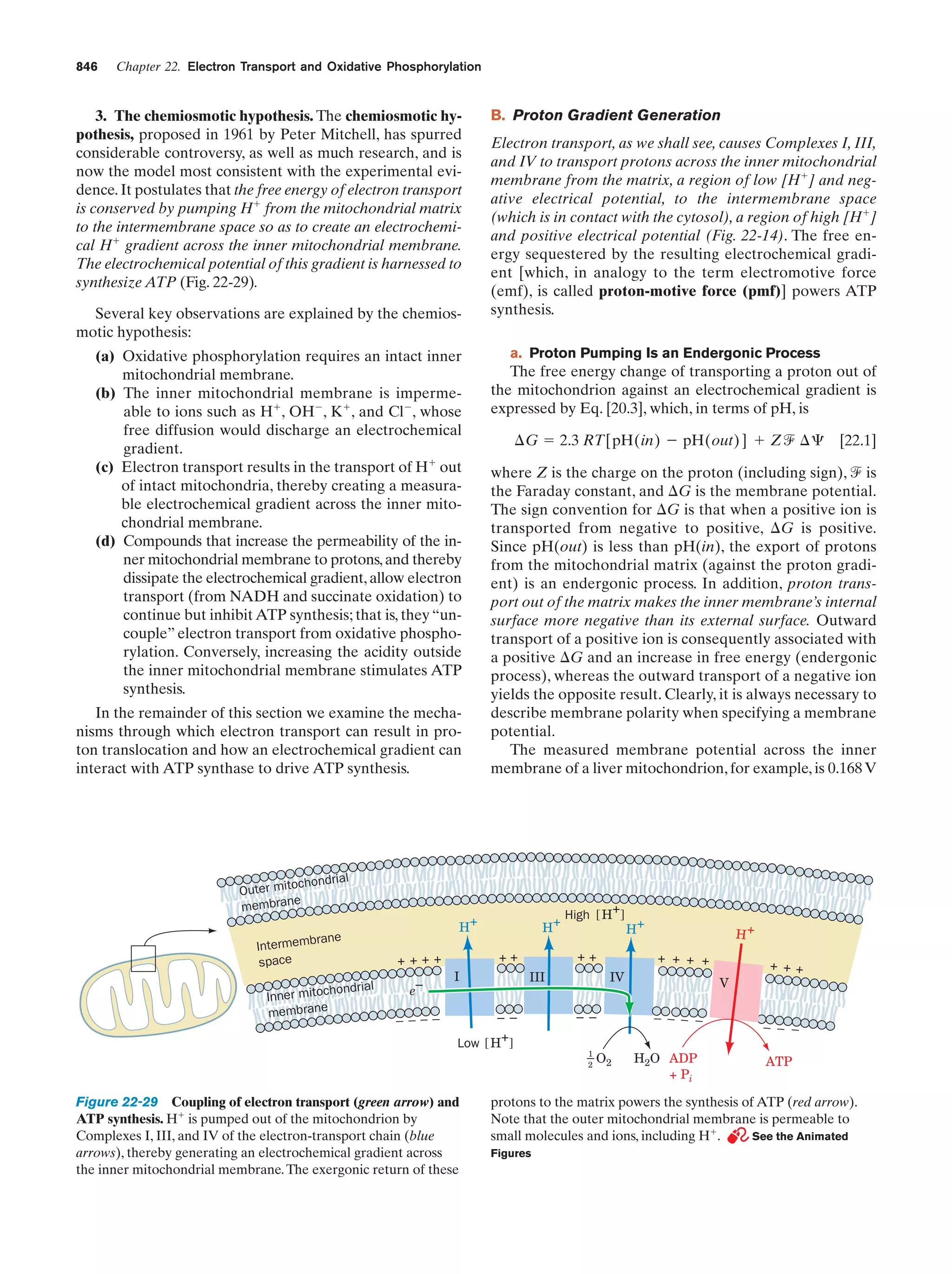 Biochemistry.4th.edition