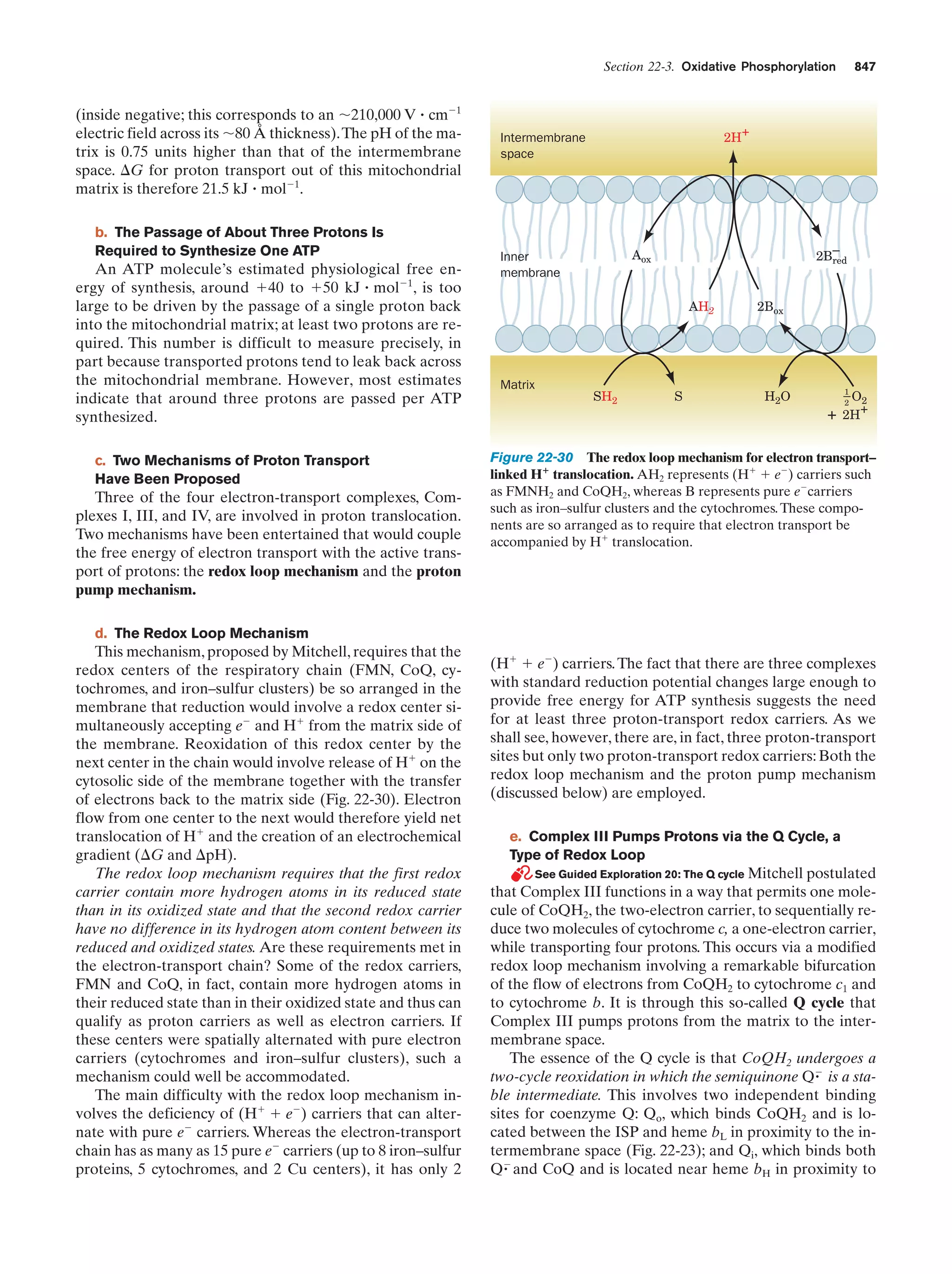 Biochemistry.4th.edition