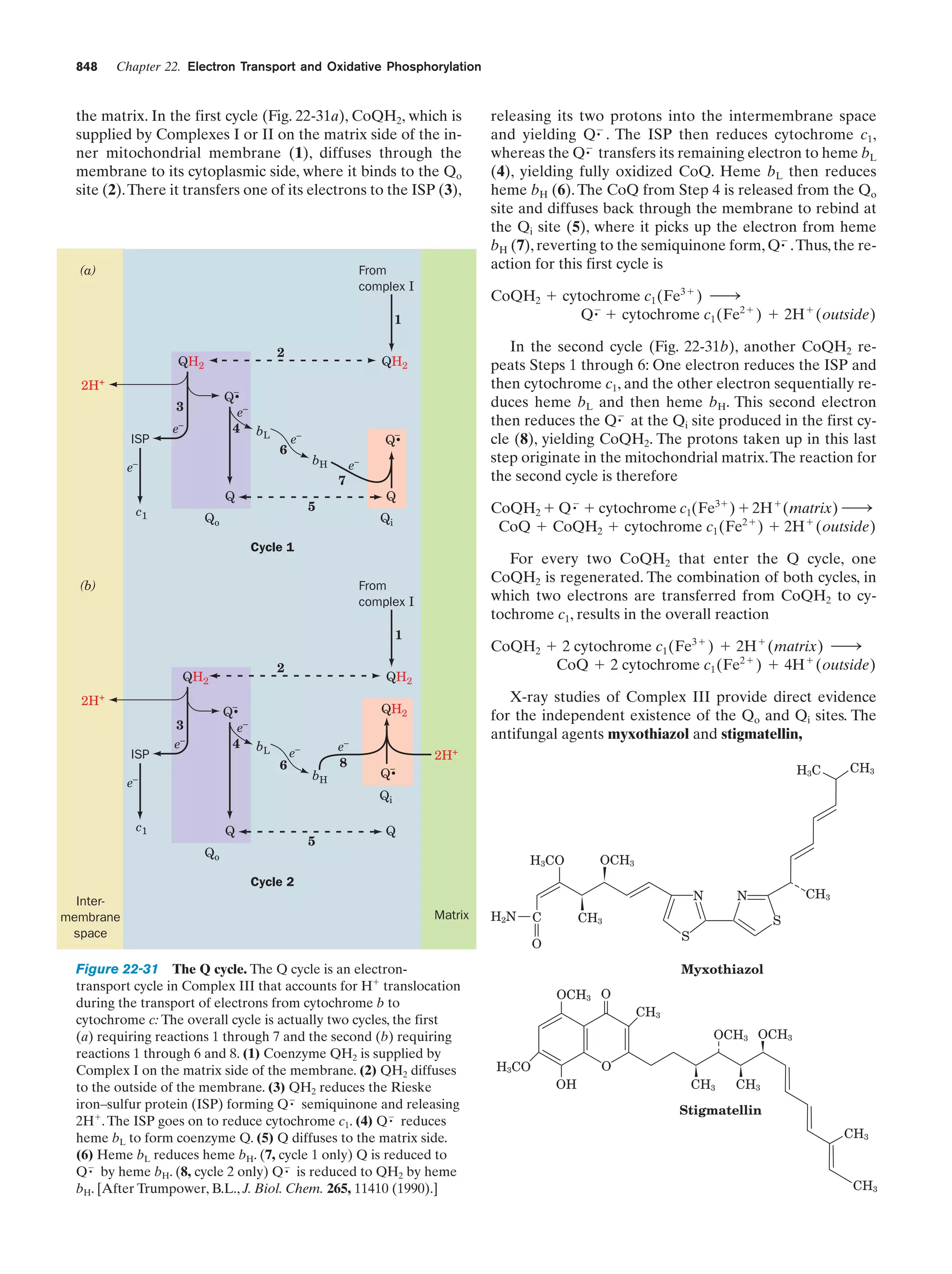 Biochemistry.4th.edition