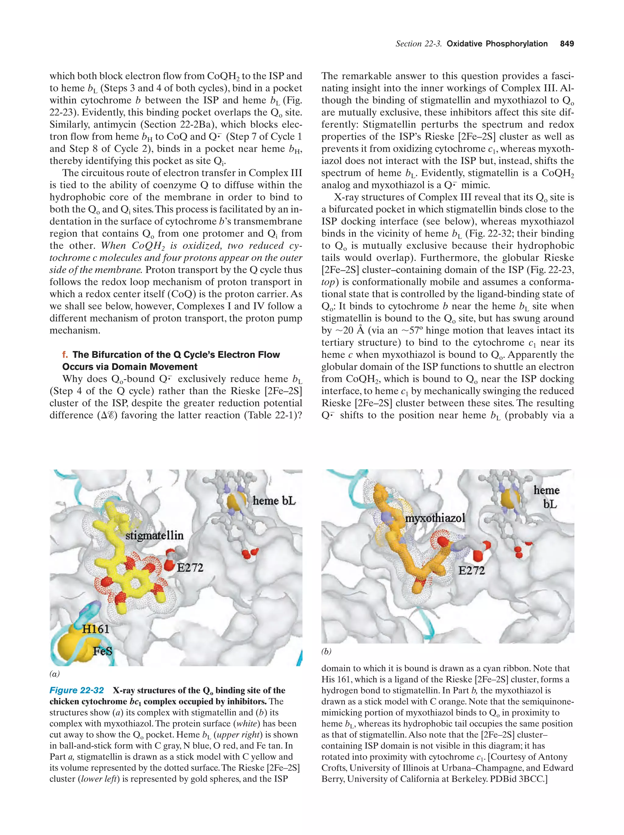 Biochemistry.4th.edition