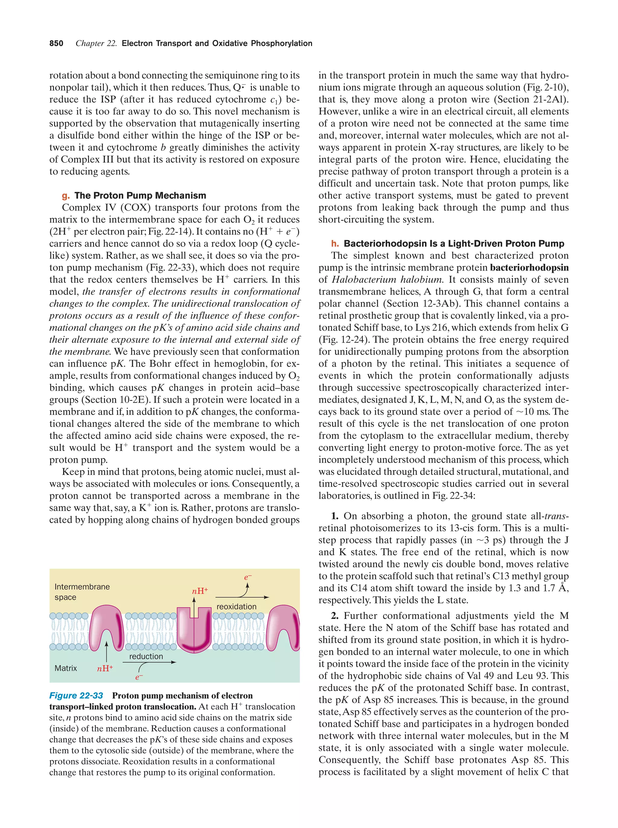 Biochemistry.4th.edition