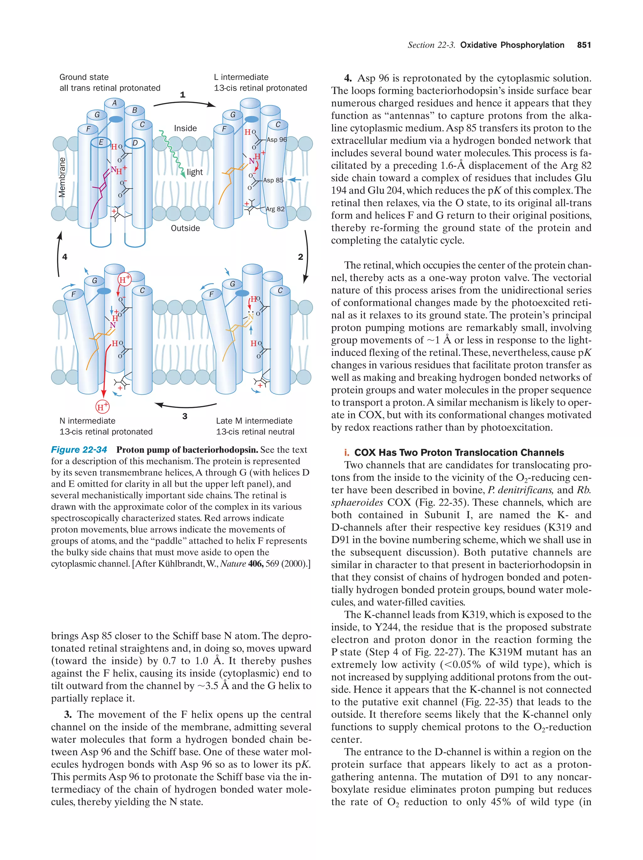 Biochemistry.4th.edition