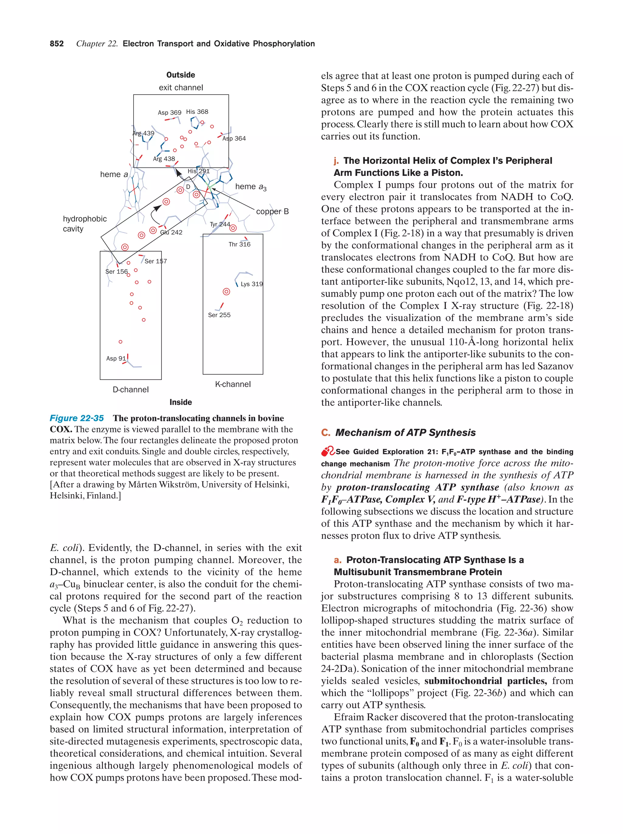 Biochemistry.4th.edition