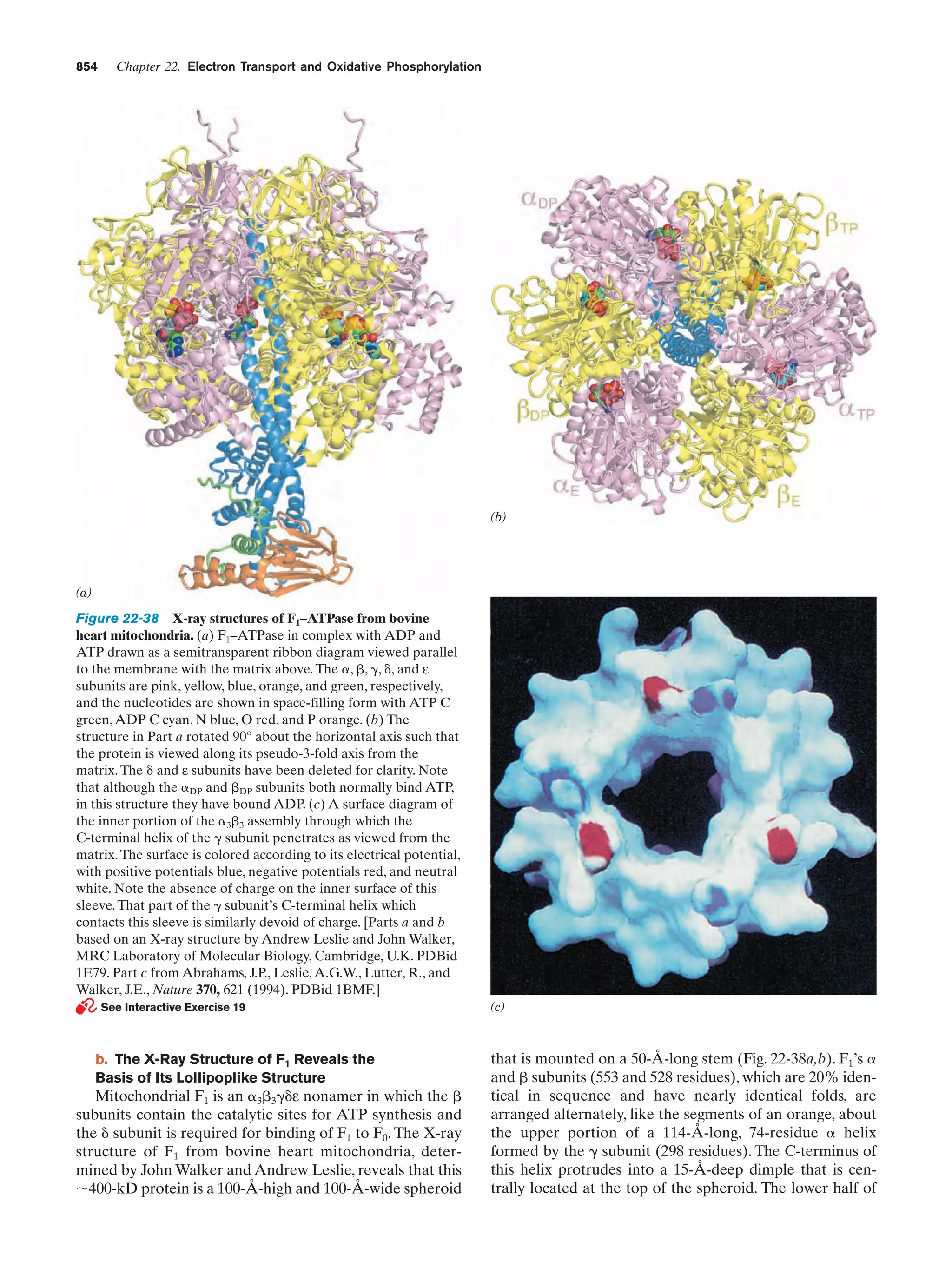 Biochemistry.4th.edition