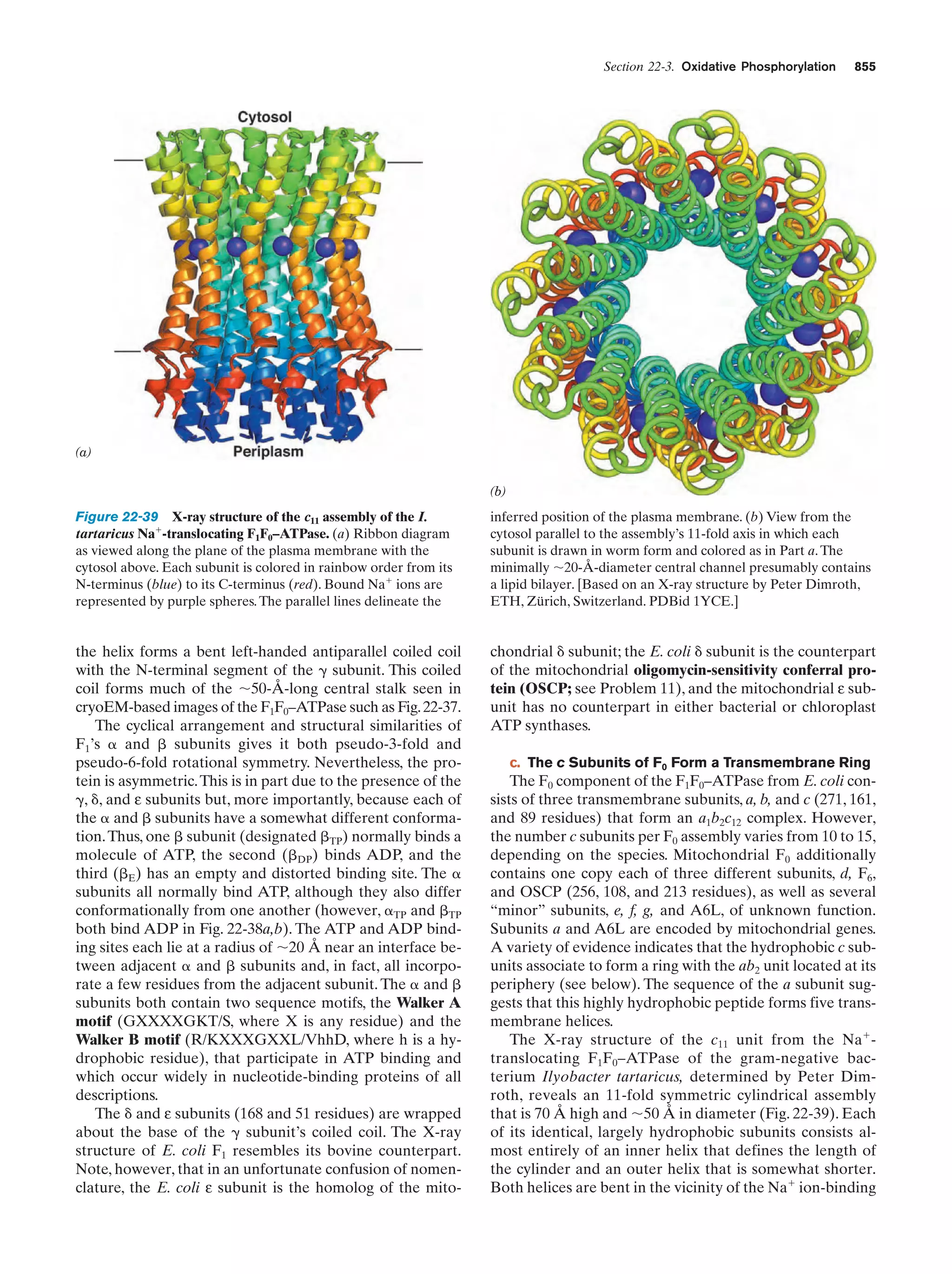Biochemistry.4th.edition