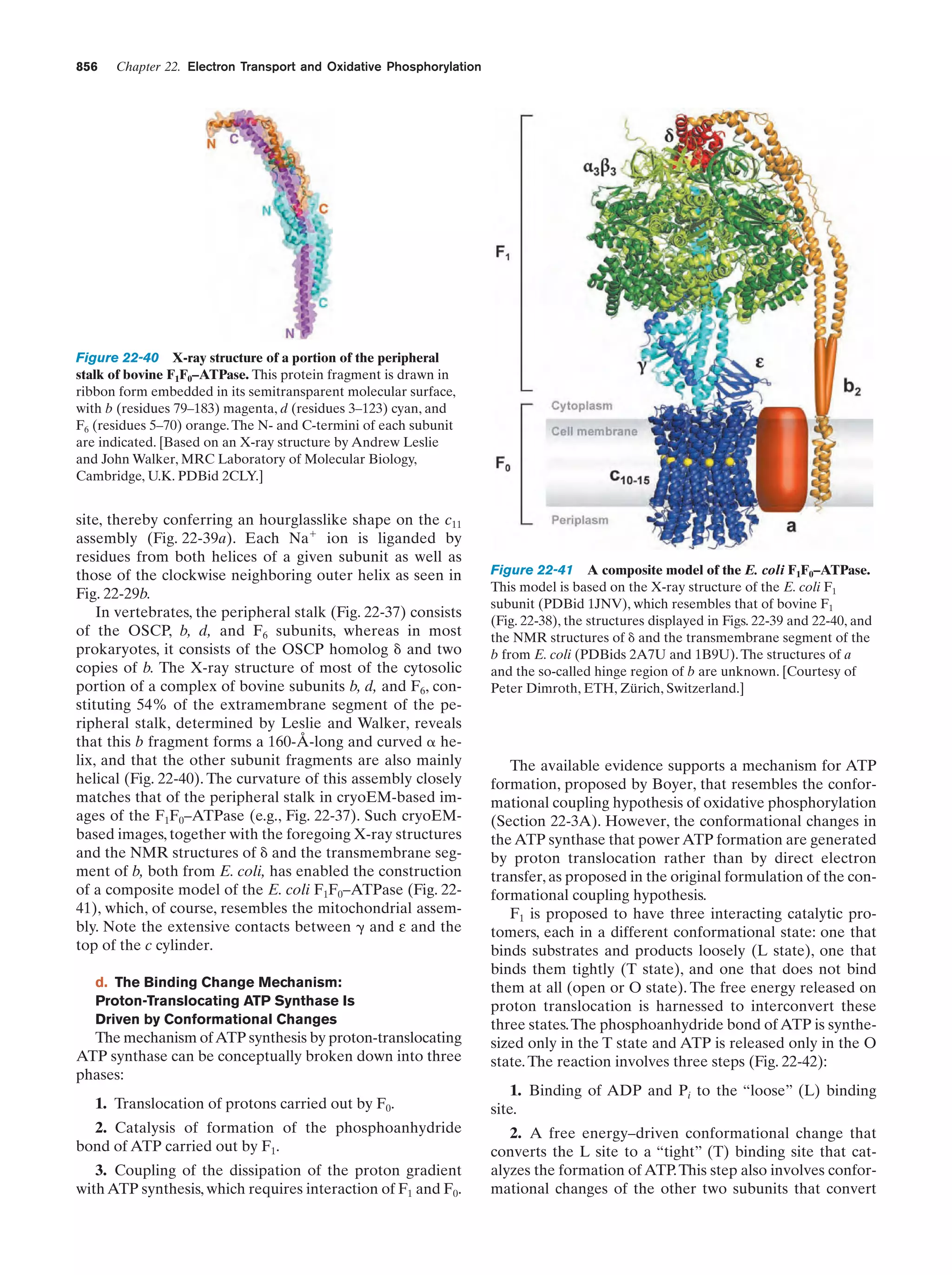 Biochemistry.4th.edition