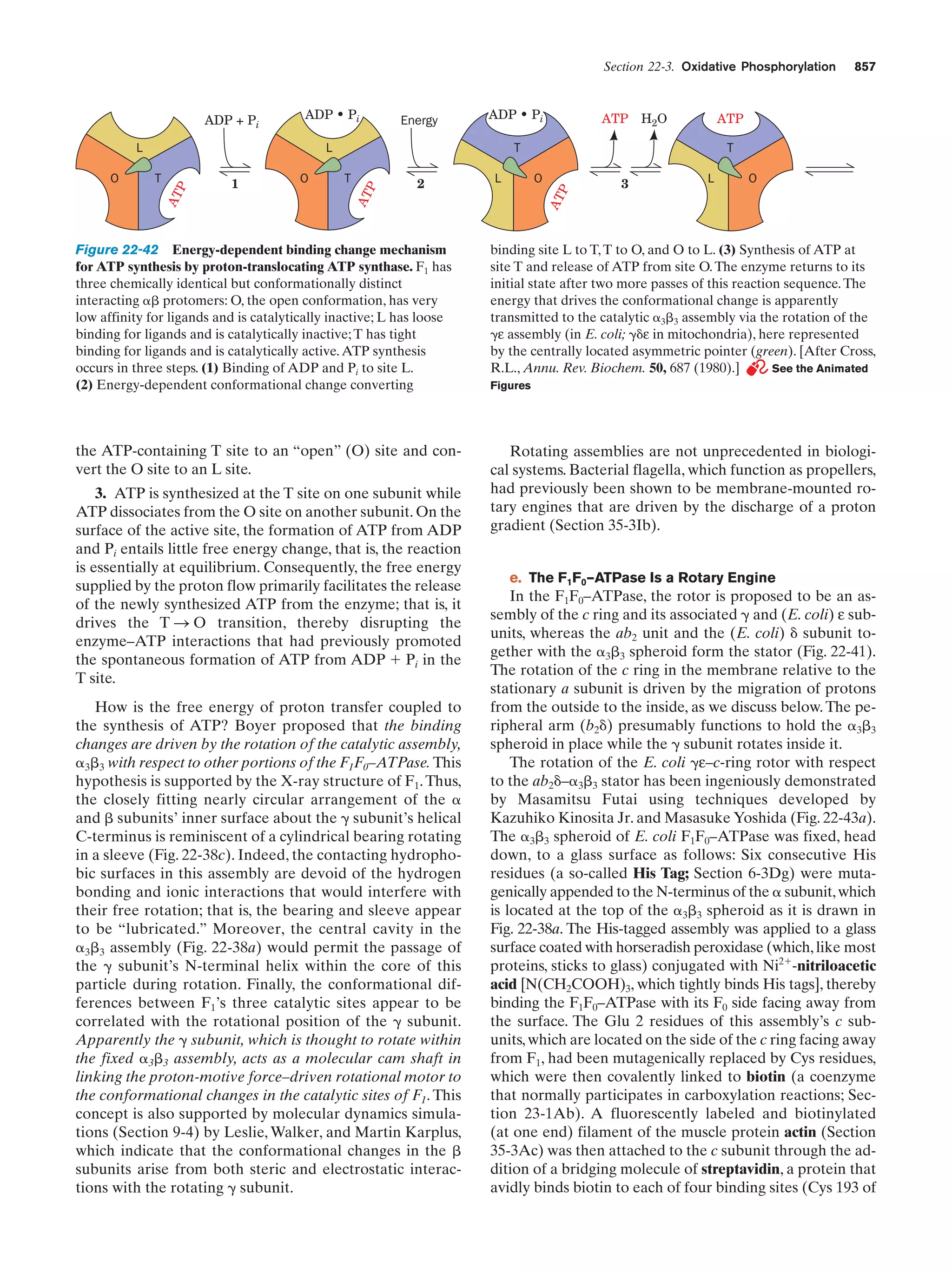 Biochemistry.4th.edition