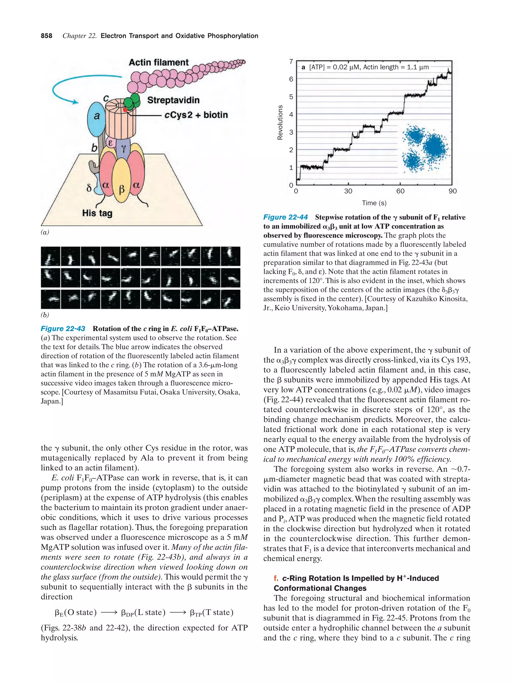 Biochemistry.4th.edition